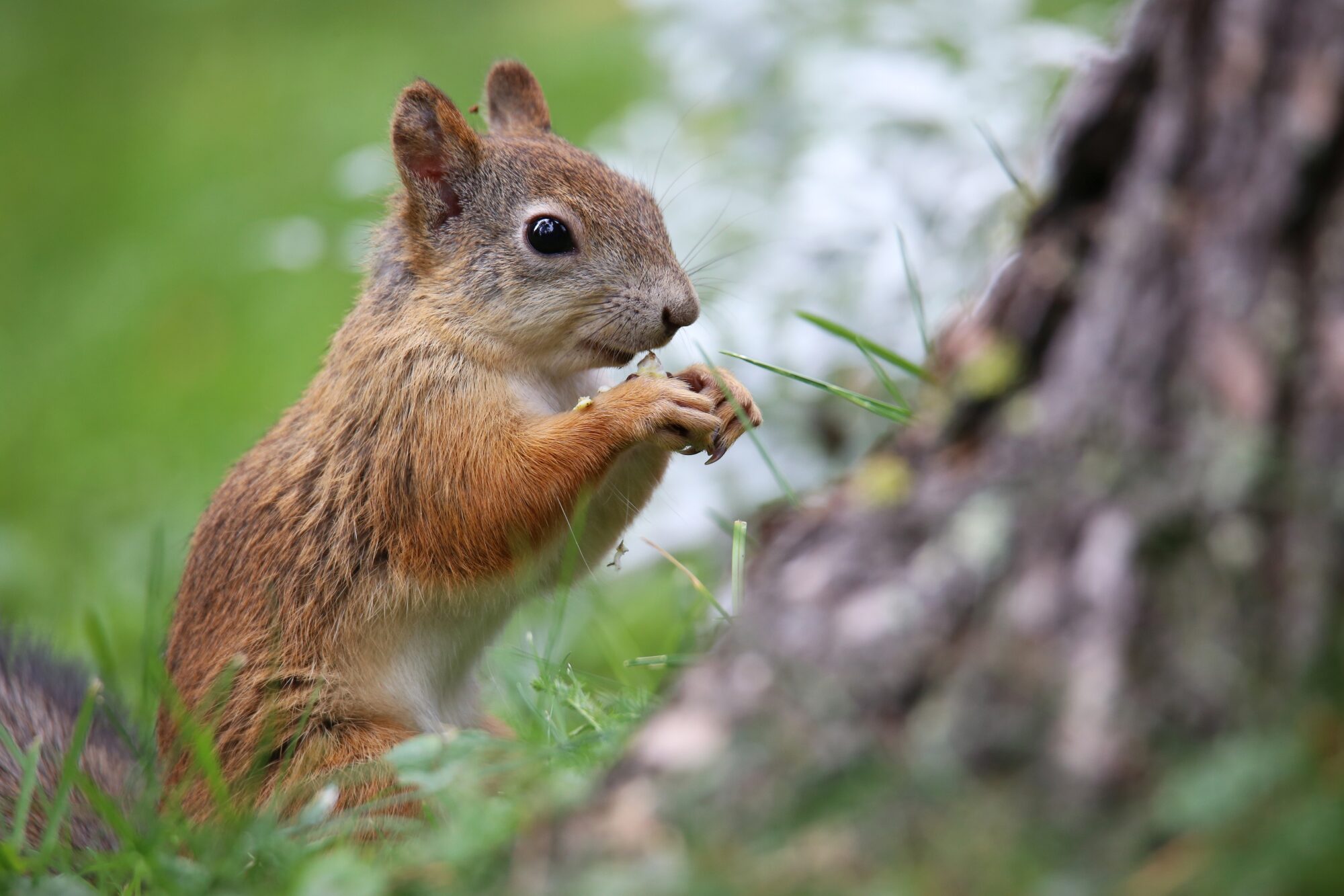 Valokuvaaja: Jaana Saarelainen