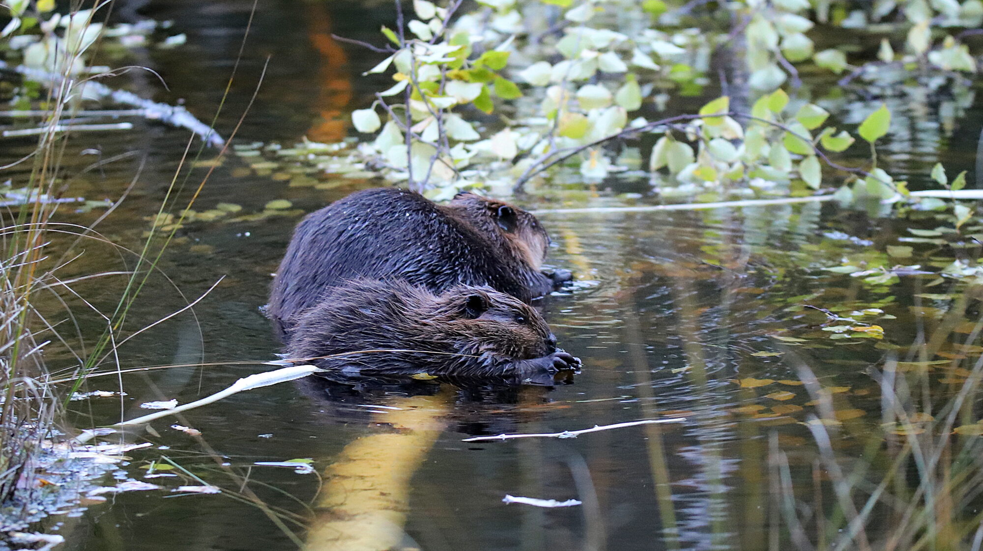 Valokuvaaja: sirpa Jyske