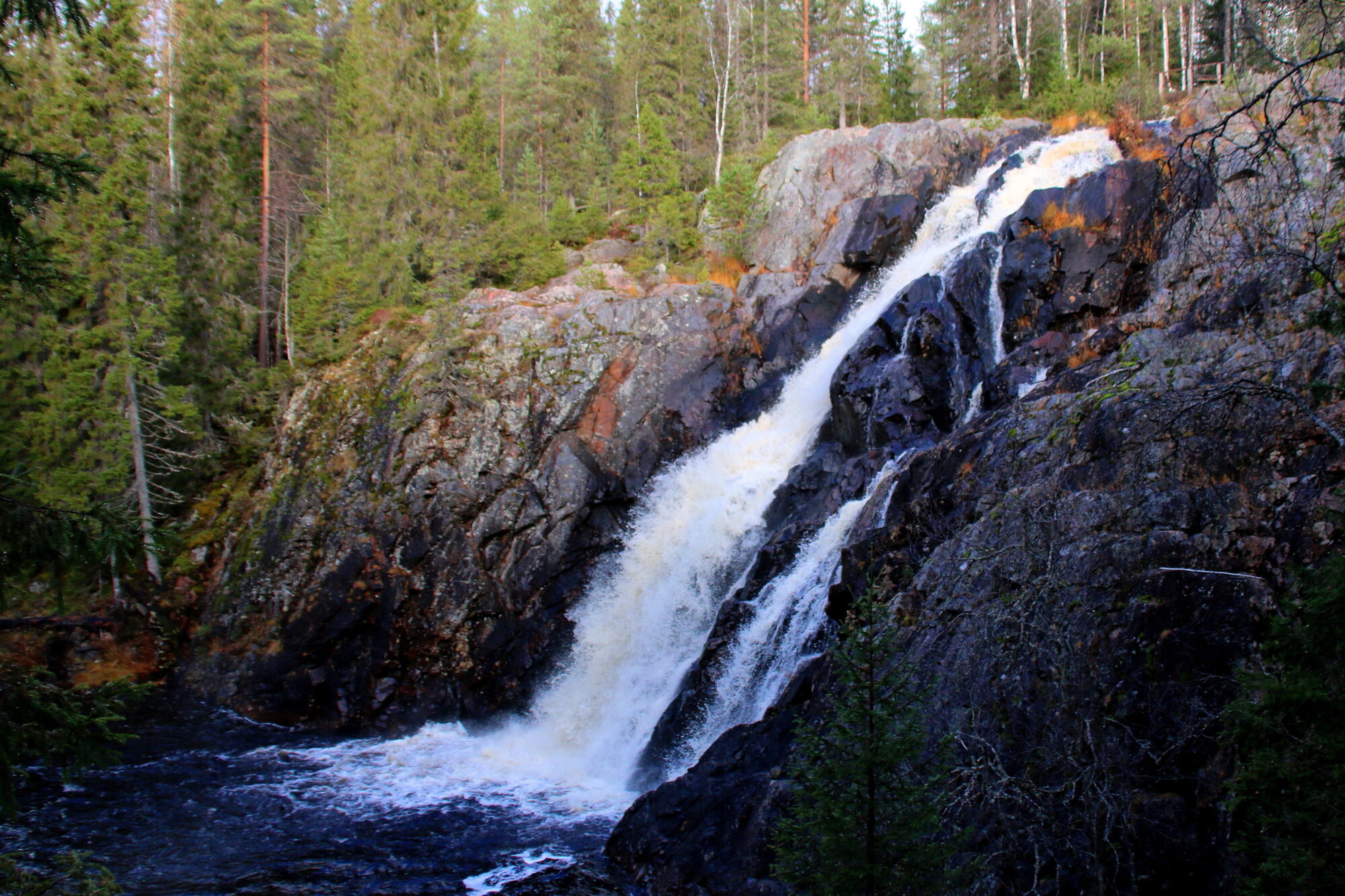 Valokuvaaja: Tuukka Pahtamaa Valokuvaaja: Tuukka Pahtamaa