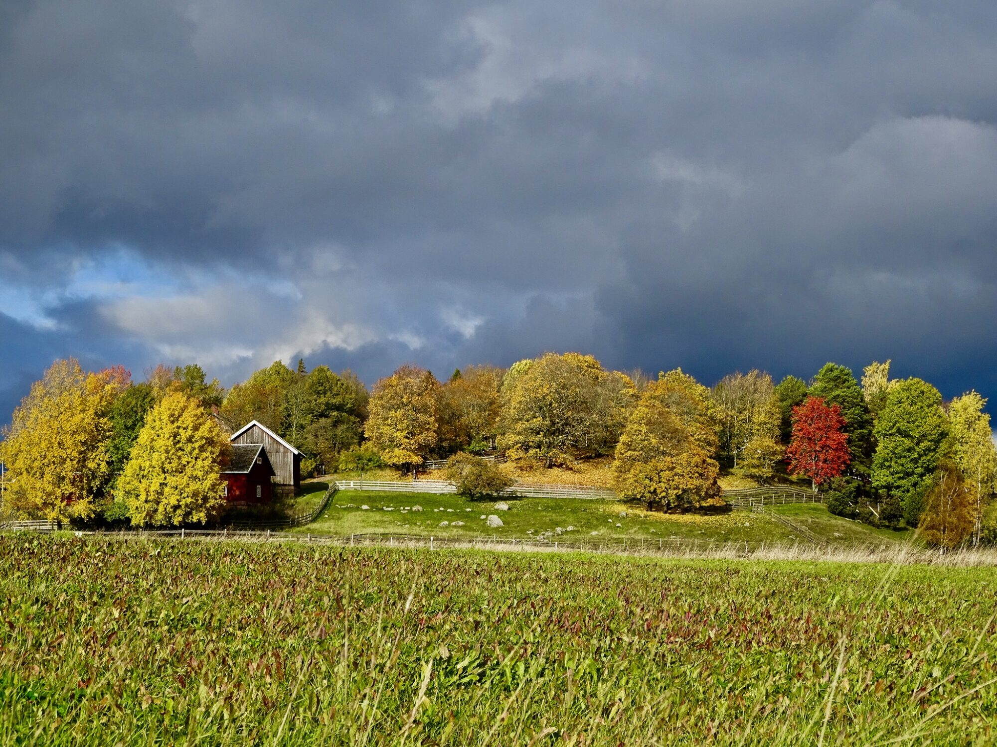 Valokuvaaja: Juhani Peltonen Valokuvaaja: Juhani Peltonen