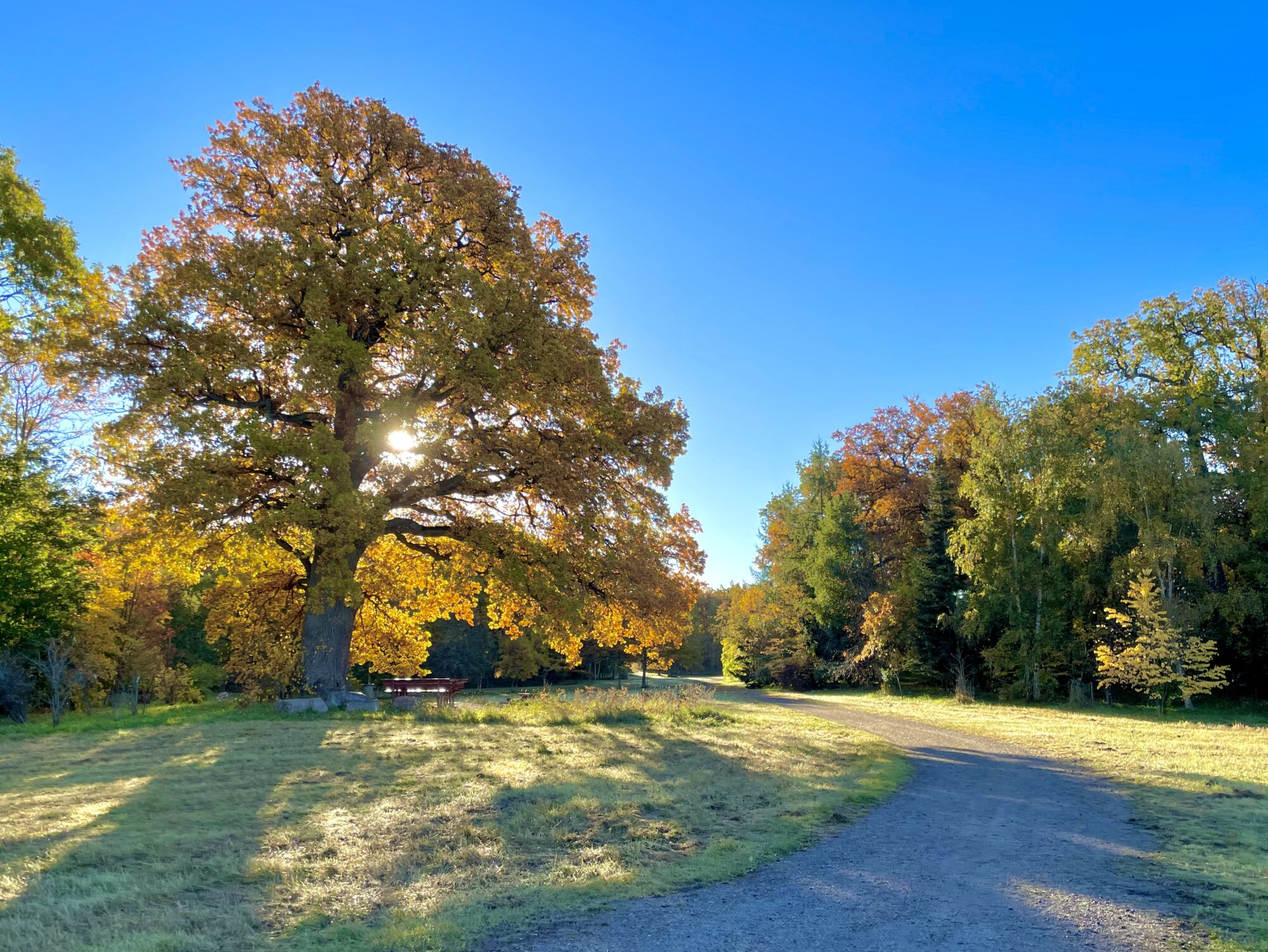 Valokuvaaja: Juhani Peltonen