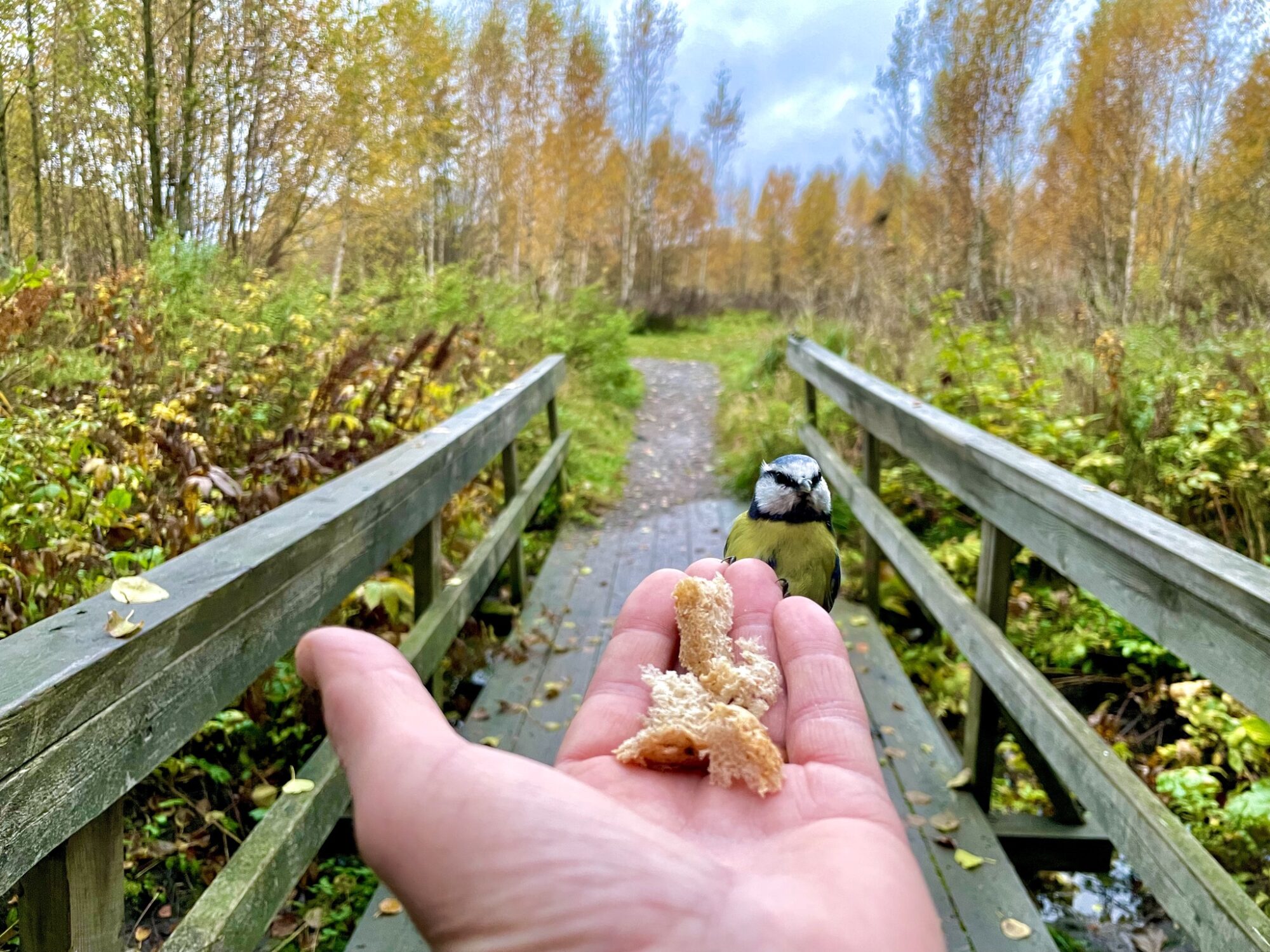 Valokuvaaja: Juhani Peltonen