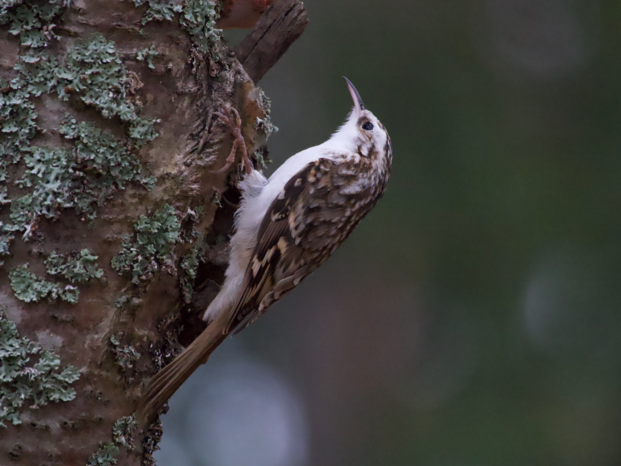 Valokuvaaja: Juha Naukkarinen Valokuvaaja: Juha Naukkarinen