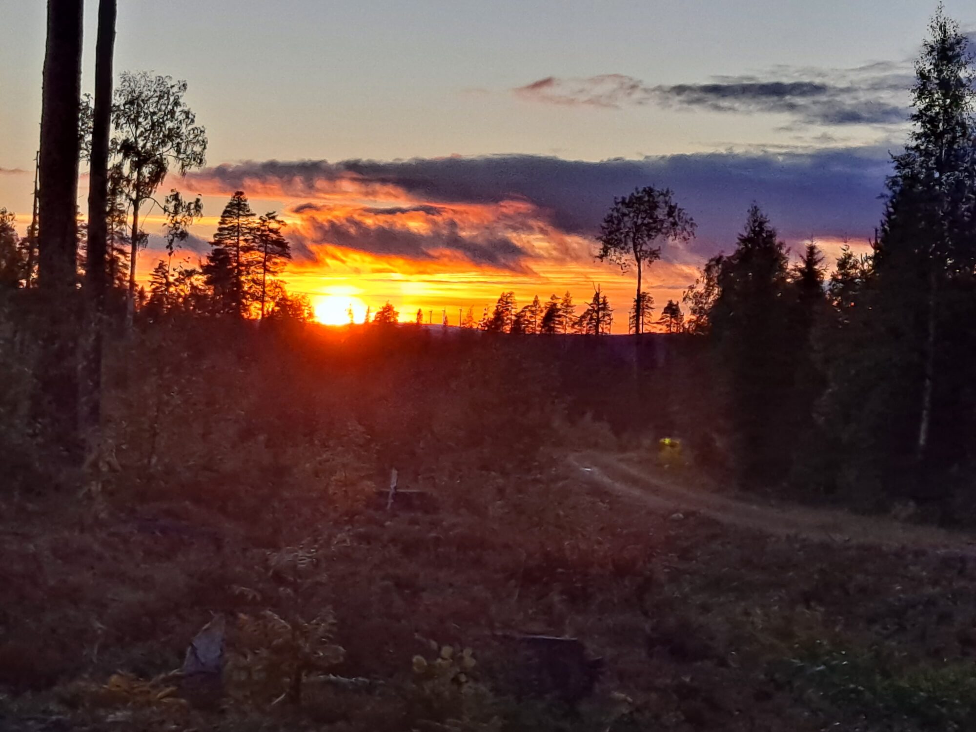 Valokuvaaja: Hannu Rissanen