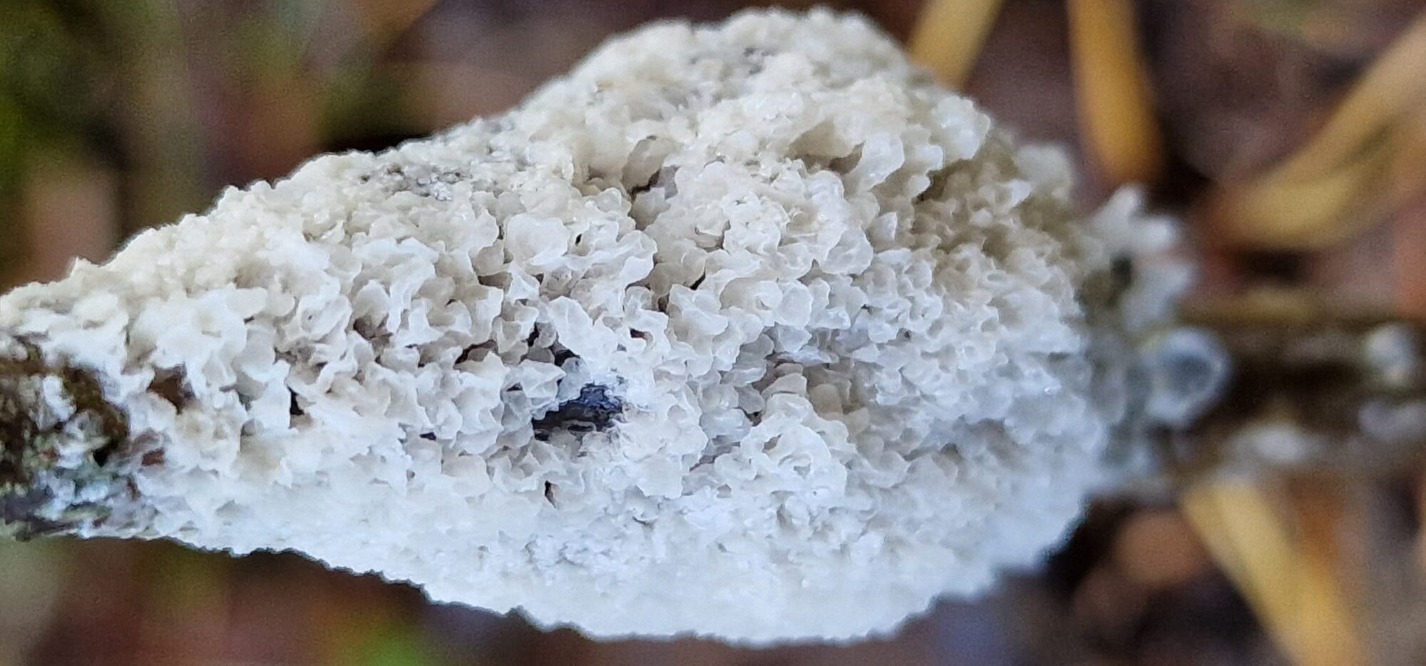 Valokuvaaja: Hanna Rönty