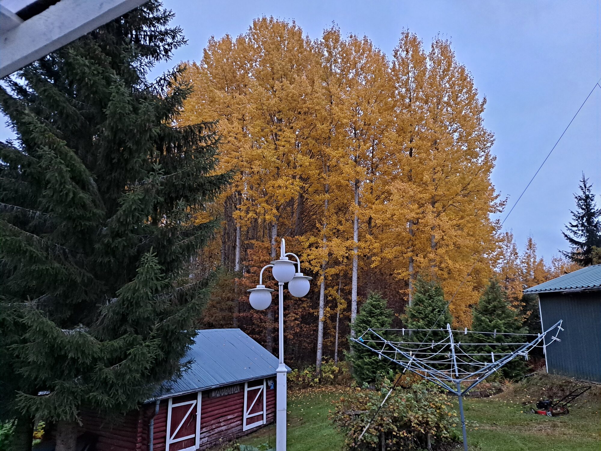 Valokuvaaja: Hannu Rissanen