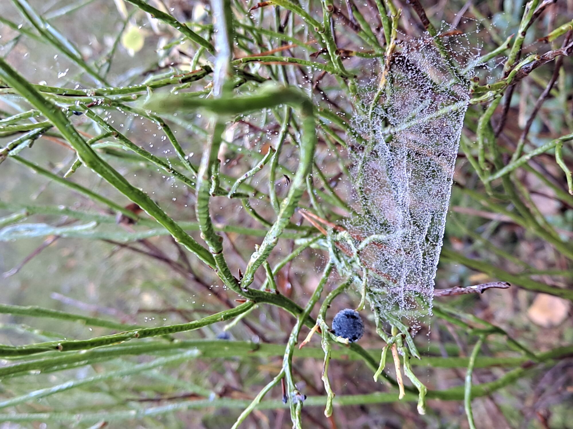 Valokuvaaja: Satu Suuntala