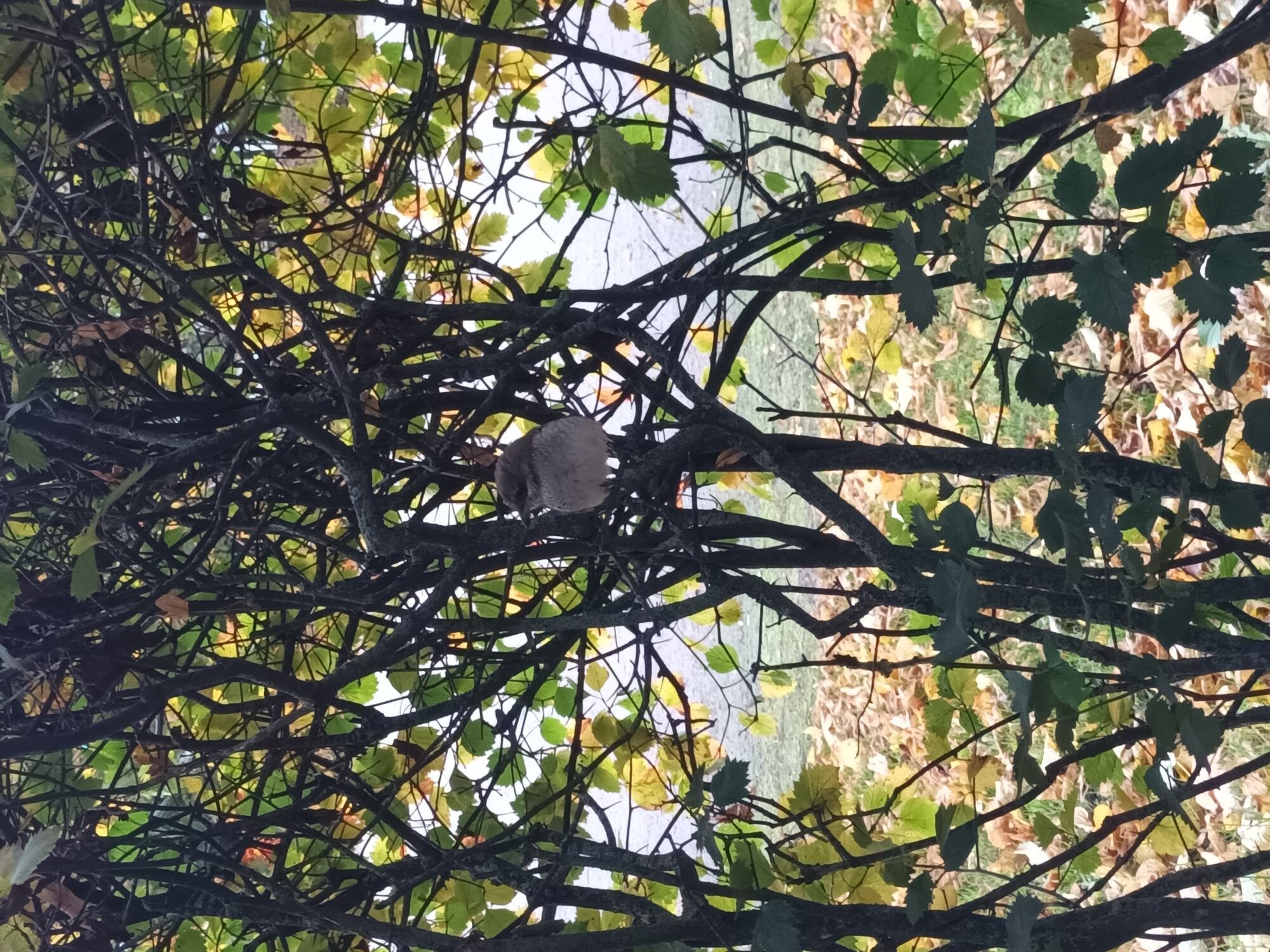 Valokuvaaja: Alvar Ilmonen