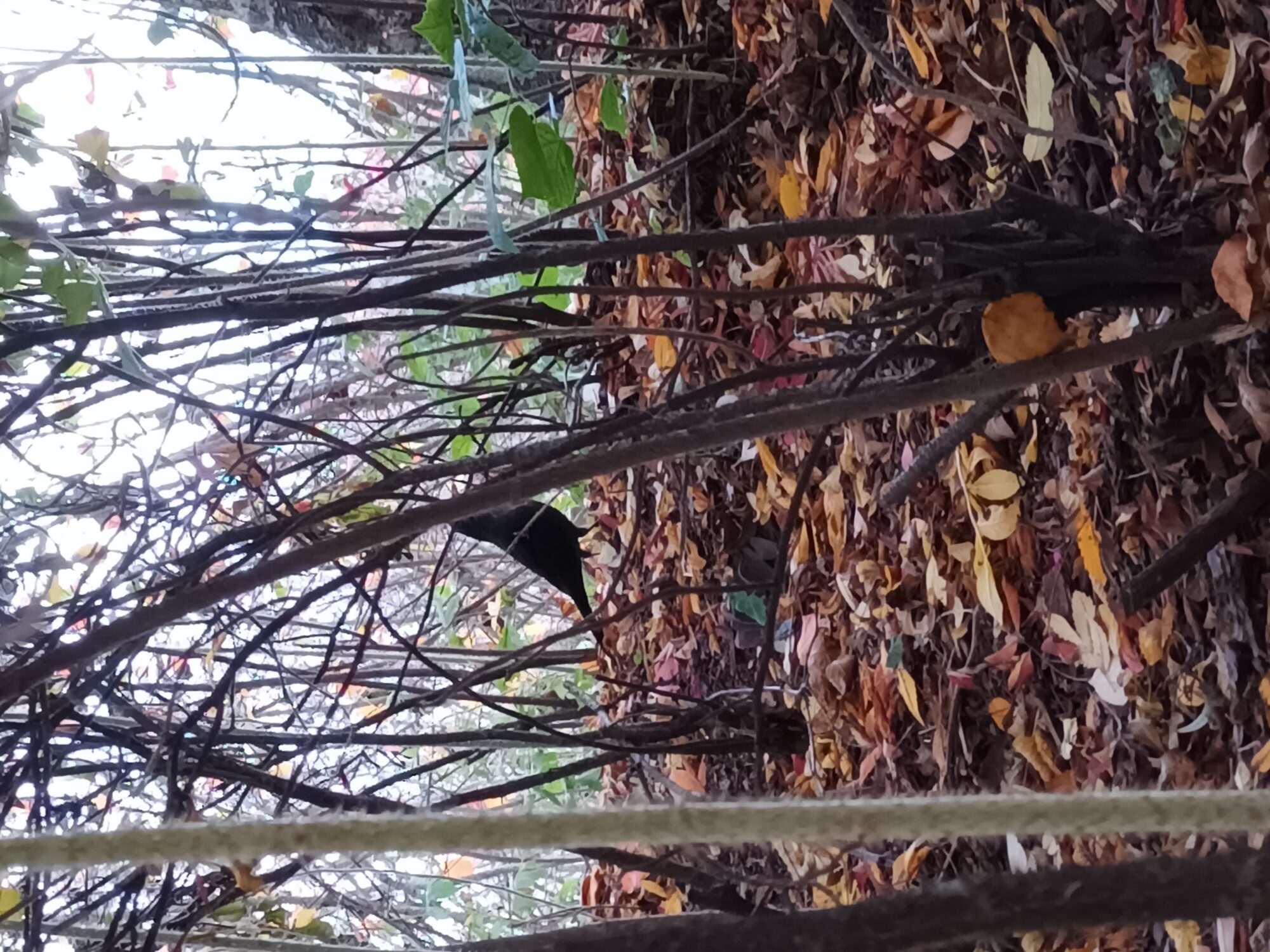 Valokuvaaja: Alvar Ilmonen