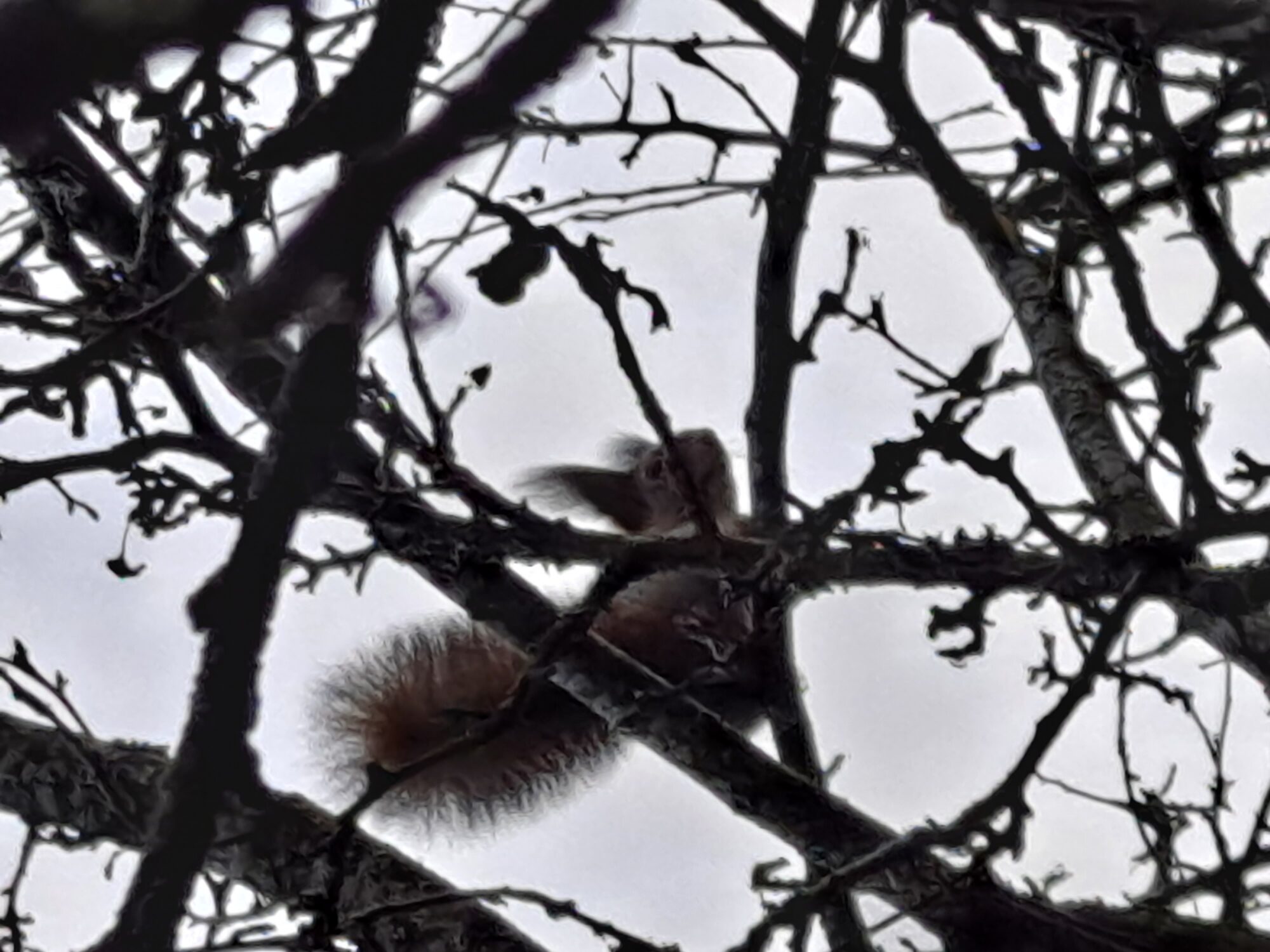 Valokuvaaja: Satu Suuntala Valokuvaaja: Satu Suuntala