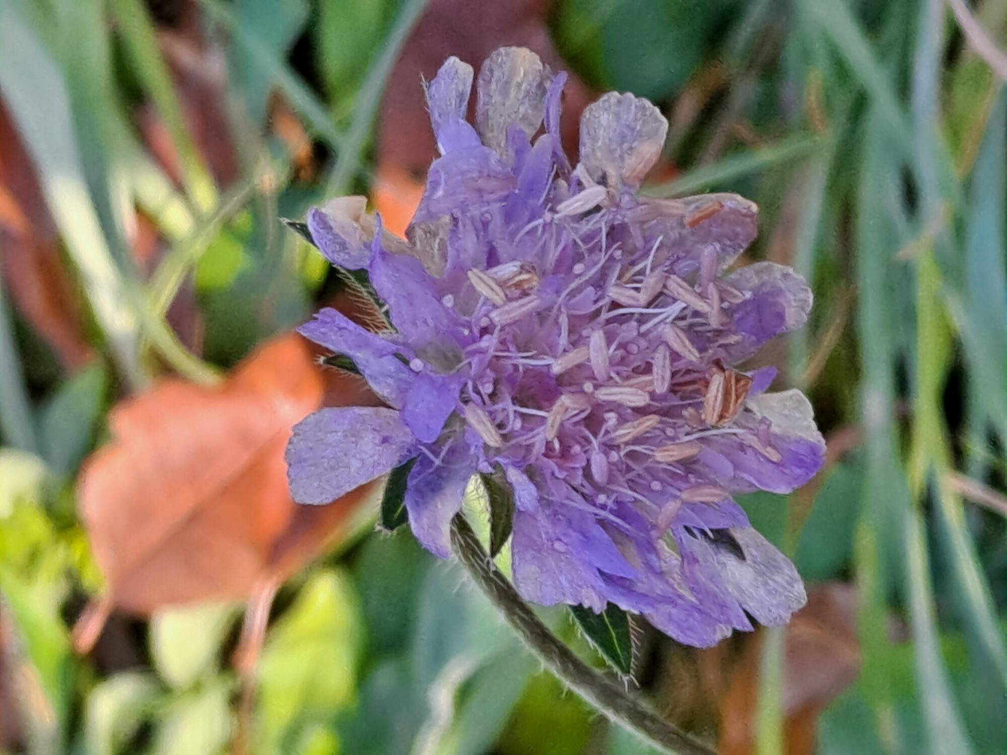 Valokuvaaja: Satu Suuntala