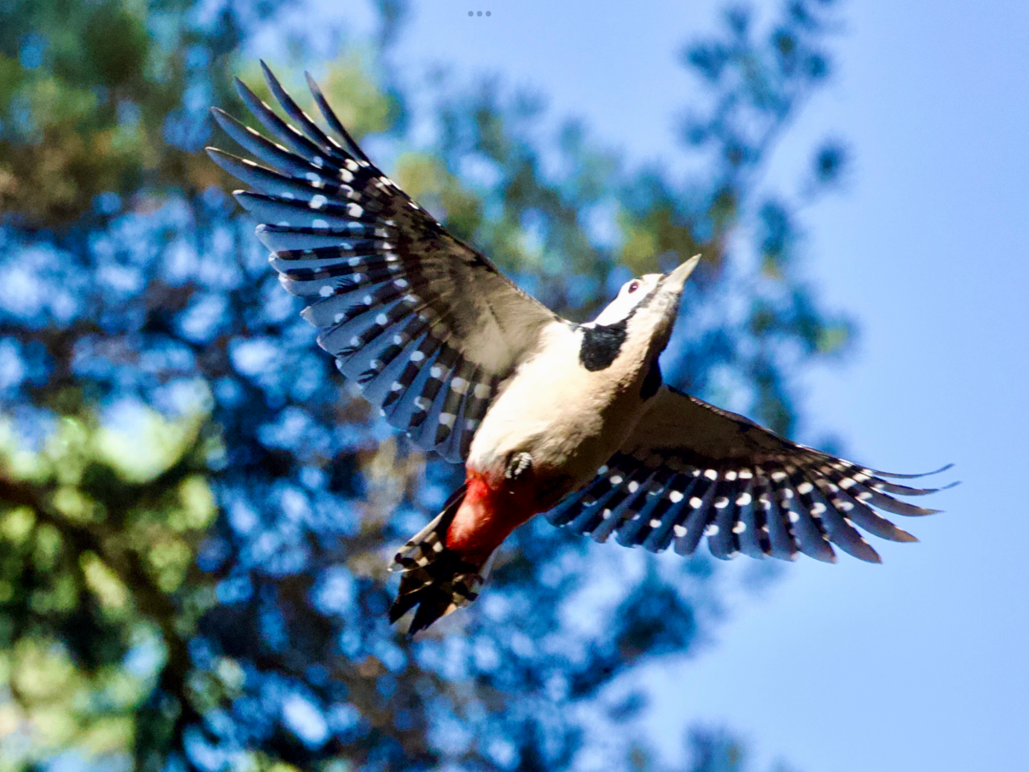 Valokuvaaja: Juha Naukkarinen