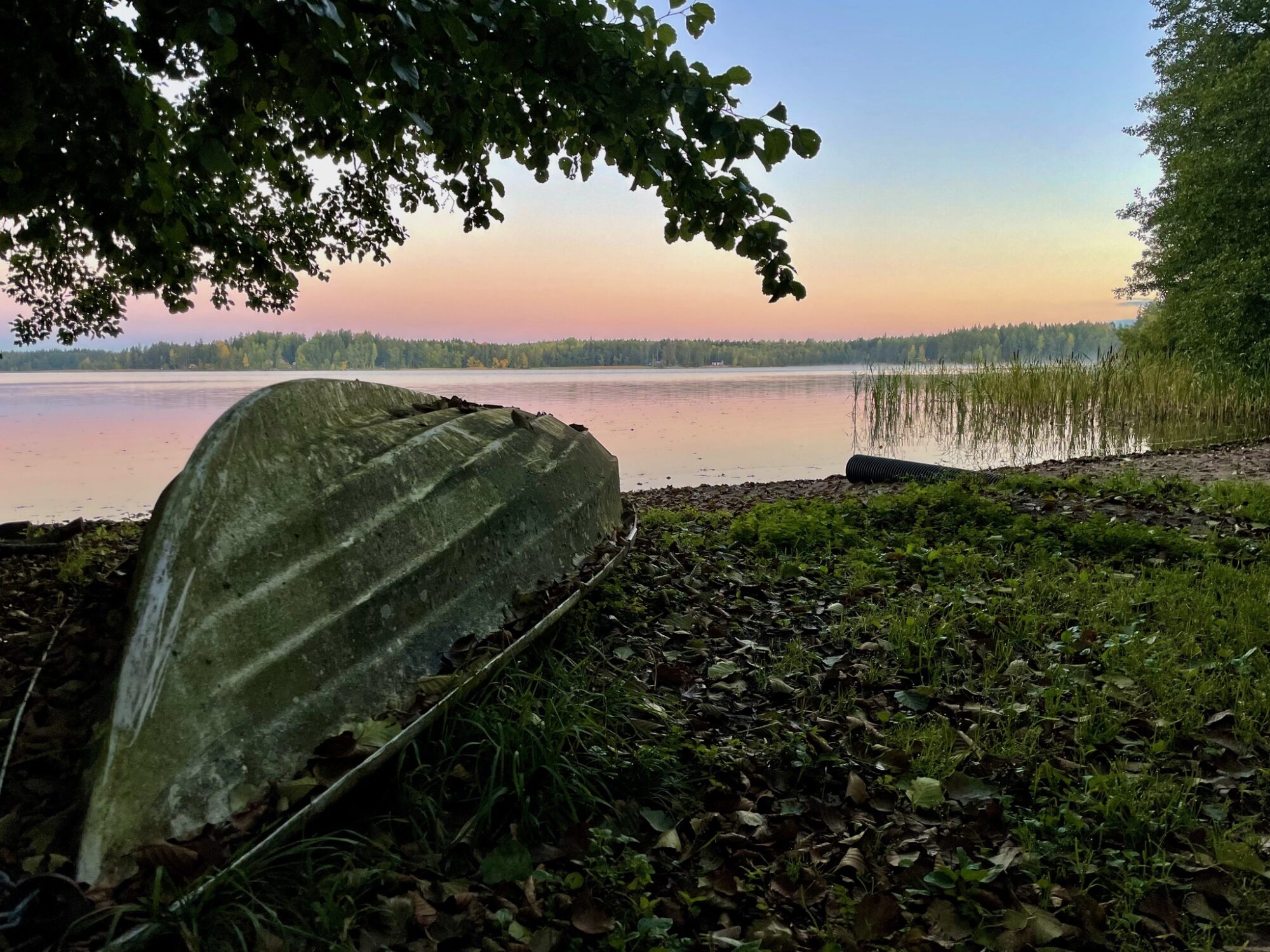 Valokuvaaja: Juhani Peltonen