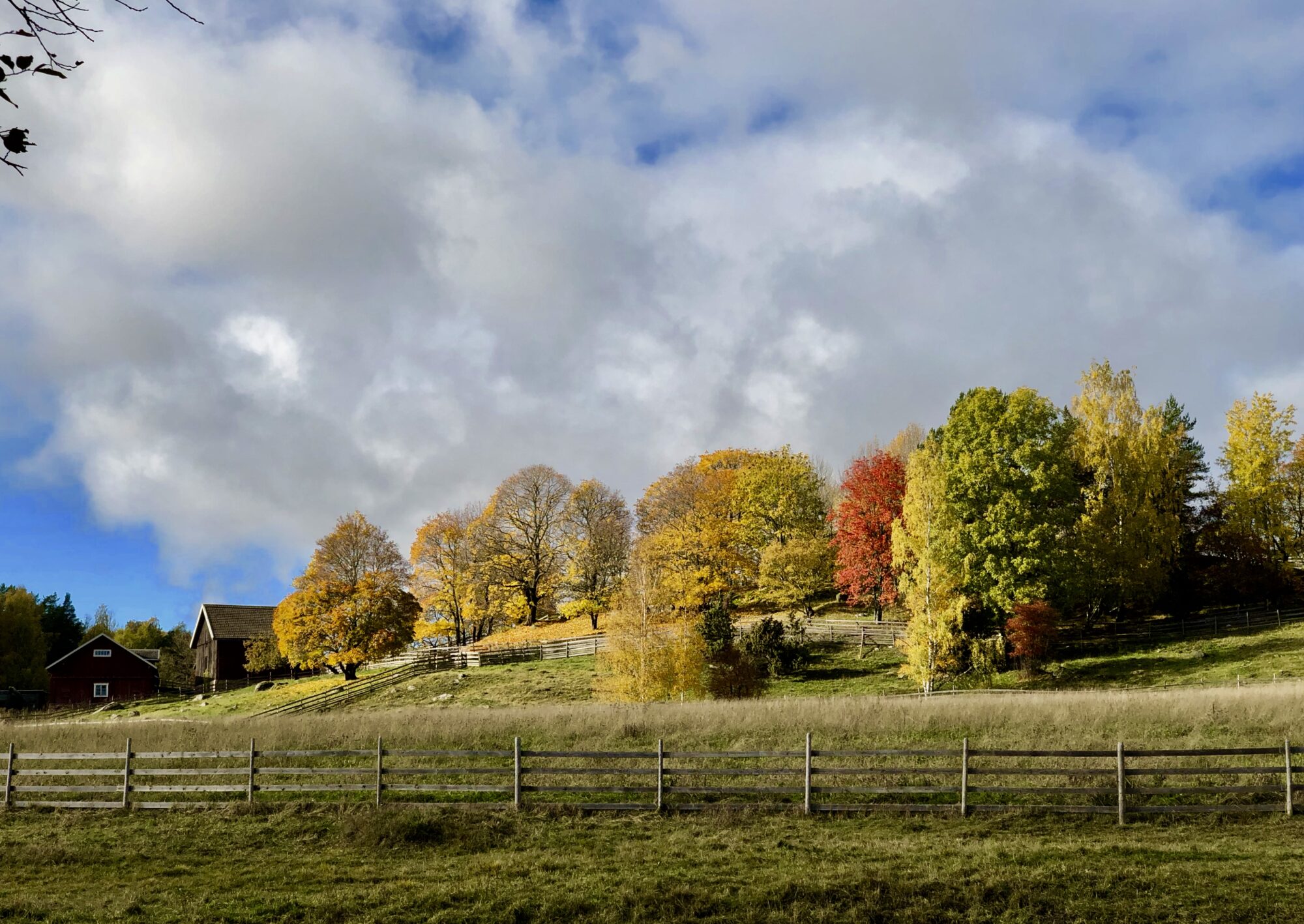 Valokuvaaja: Juhani Peltonen