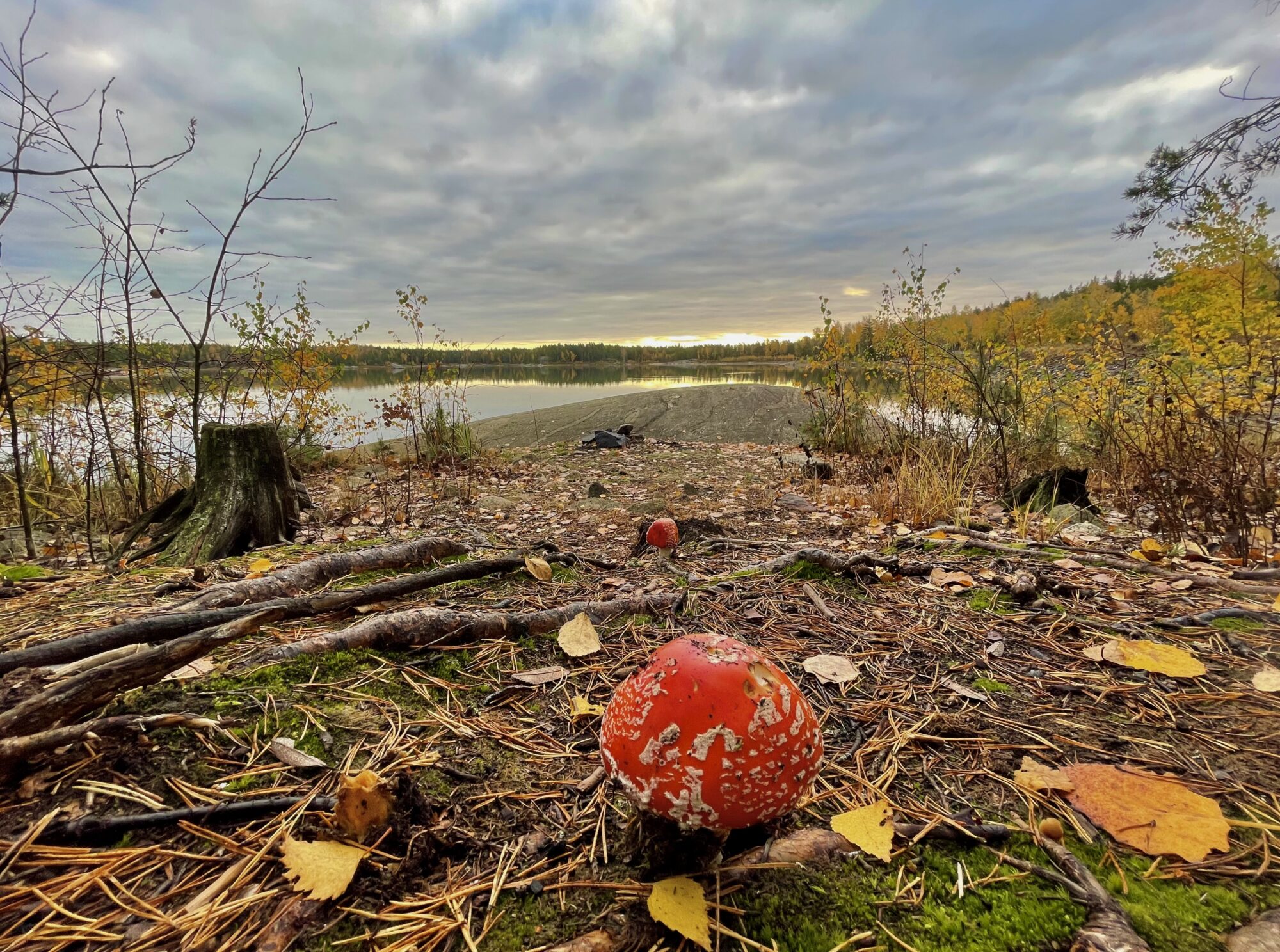 Valokuvaaja: Juhani Peltonen
