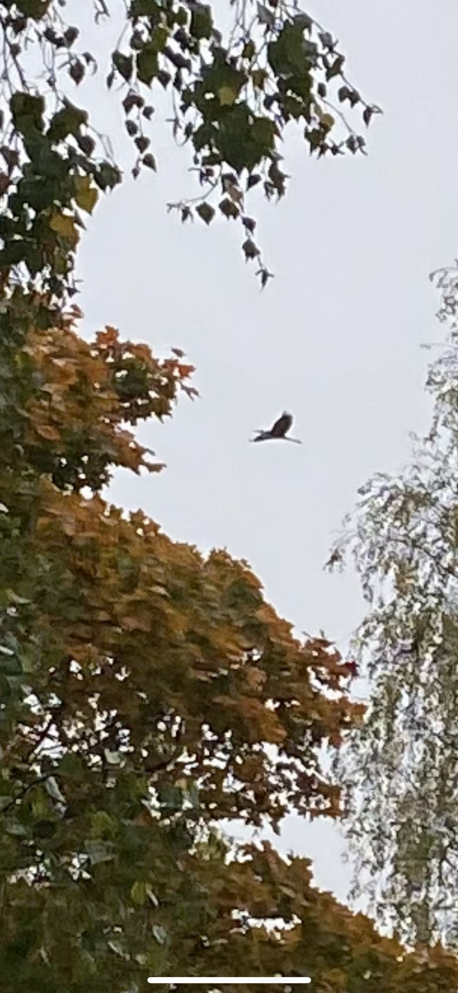 Valokuvaaja: Hanna Hilmola