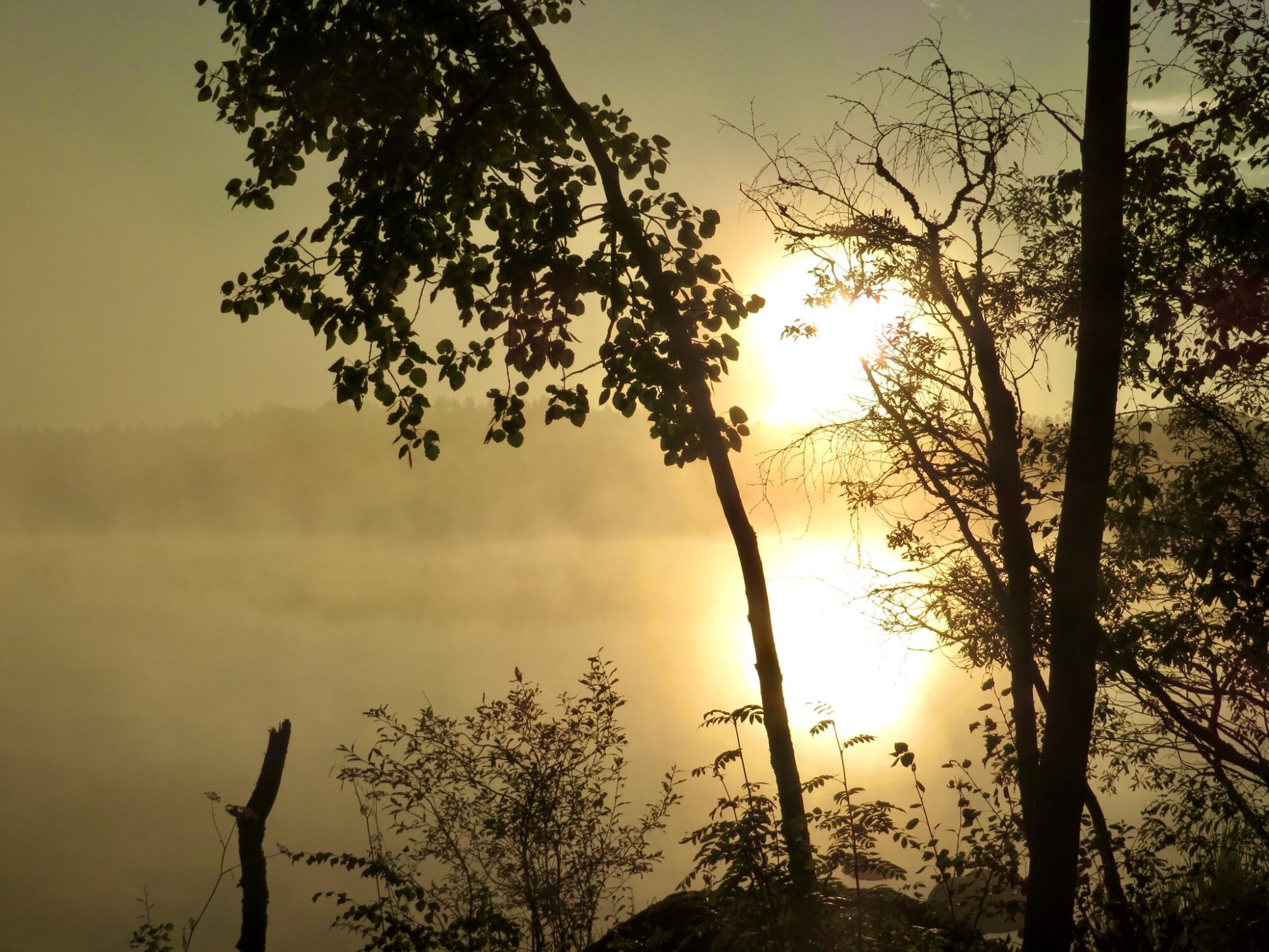 Valokuvaaja: Juhani Peltonen