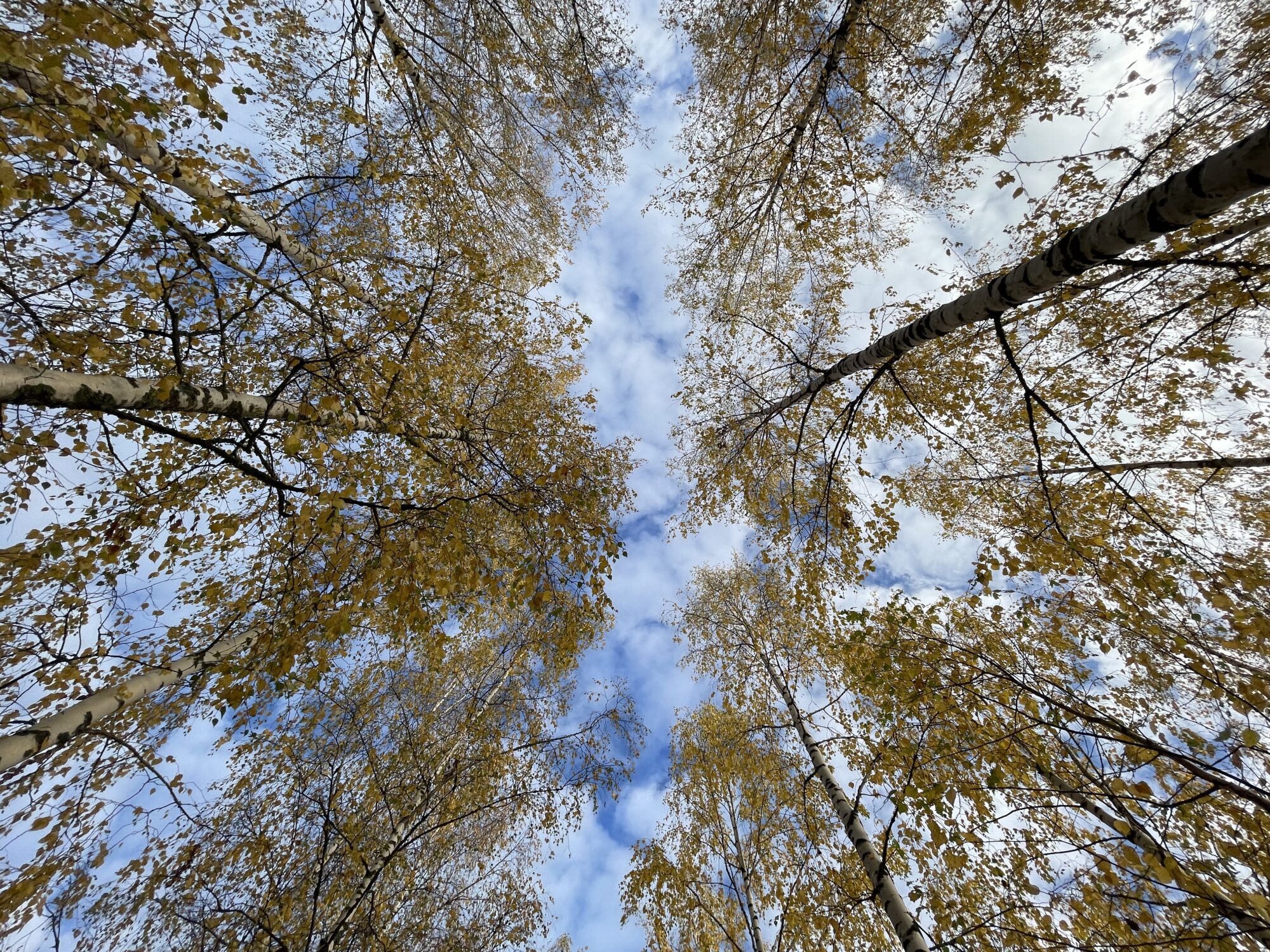 Valokuvaaja: Juhani Peltonen