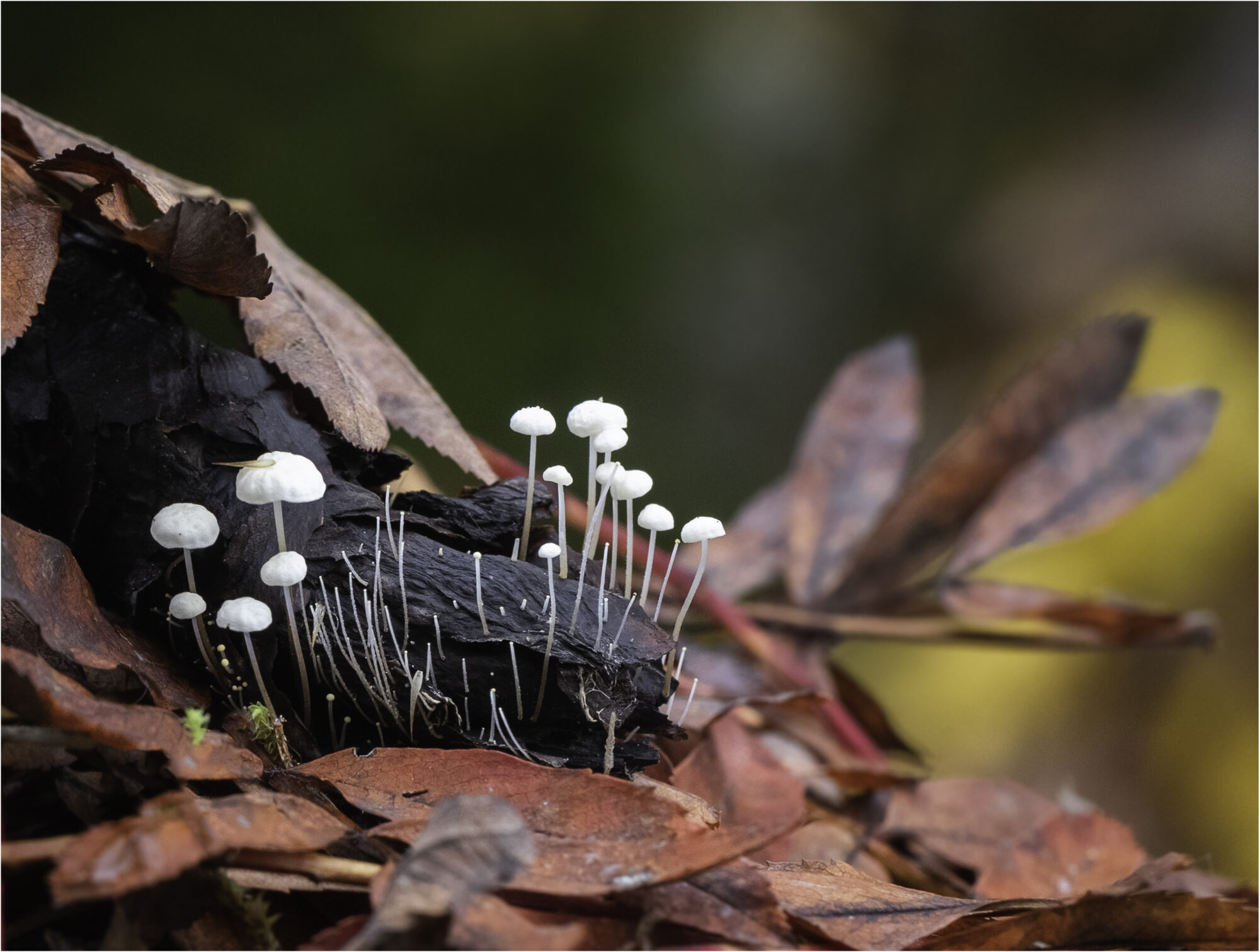 Valokuvaaja: Hannele Kaihola