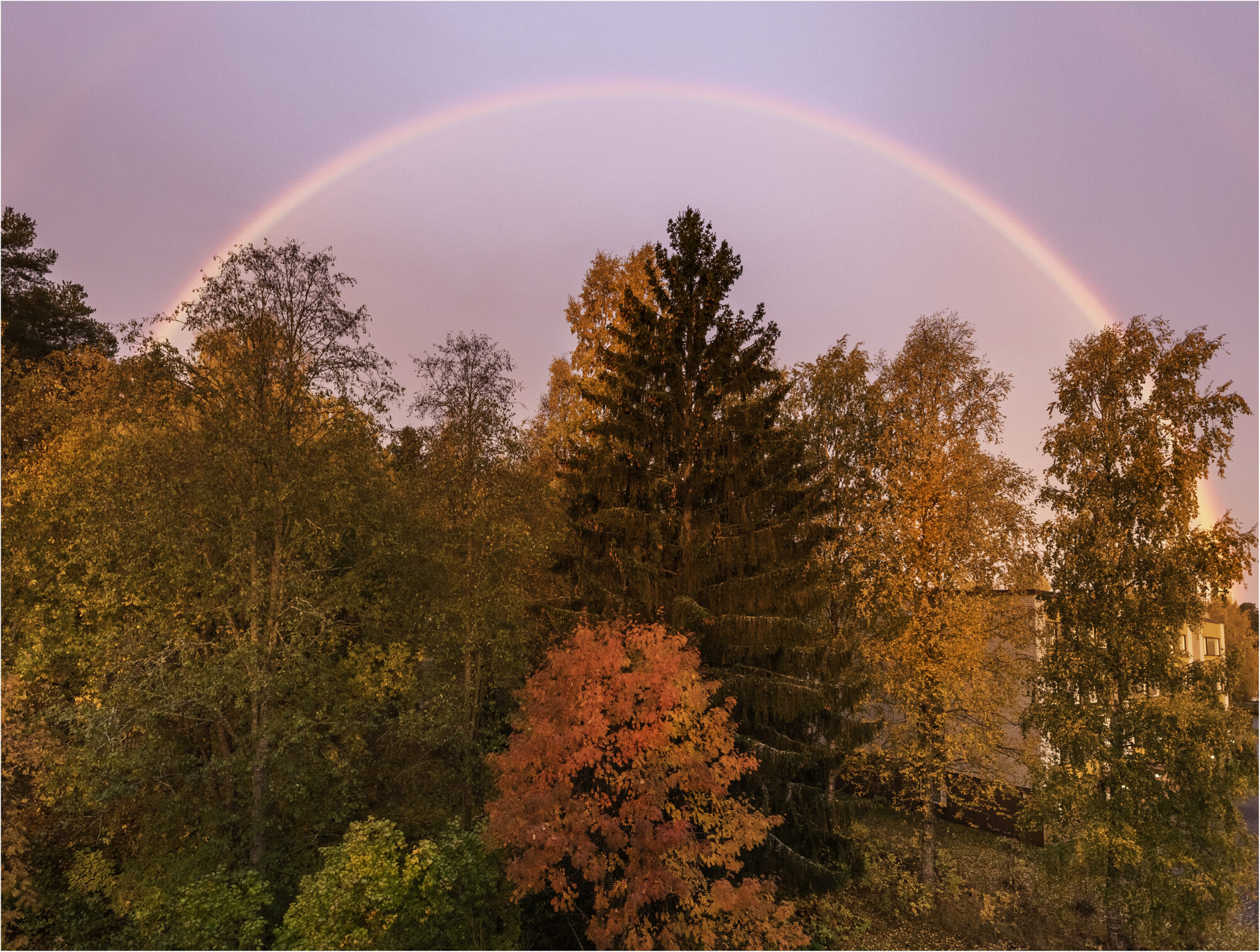 Valokuvaaja: Hannele Kaihola