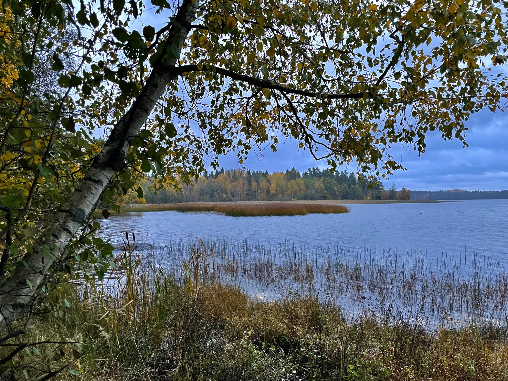 Valokuvaaja: Juhani Peltonen