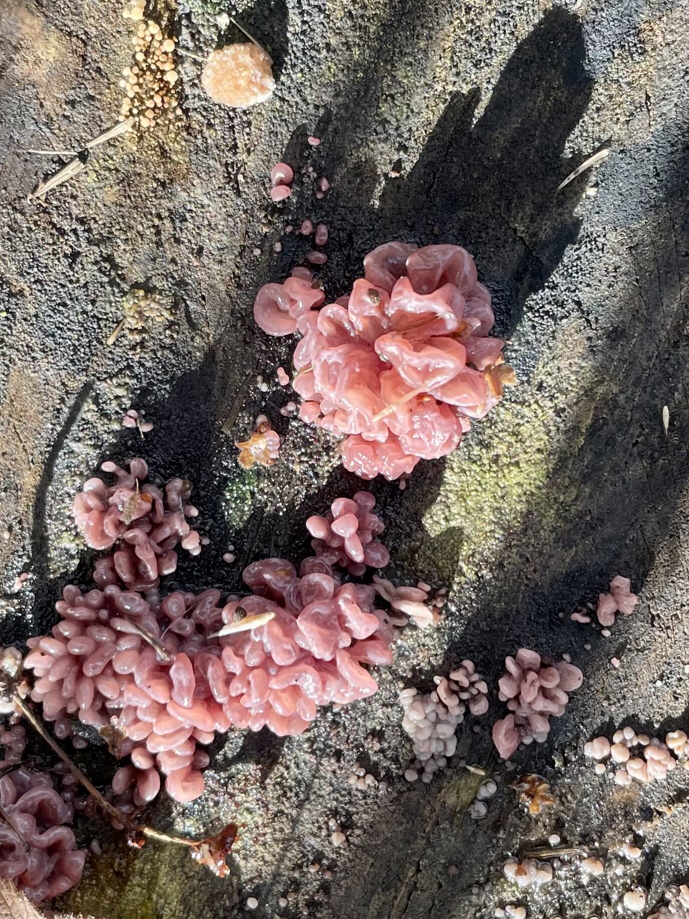 Valokuvaaja: Anja Korpela