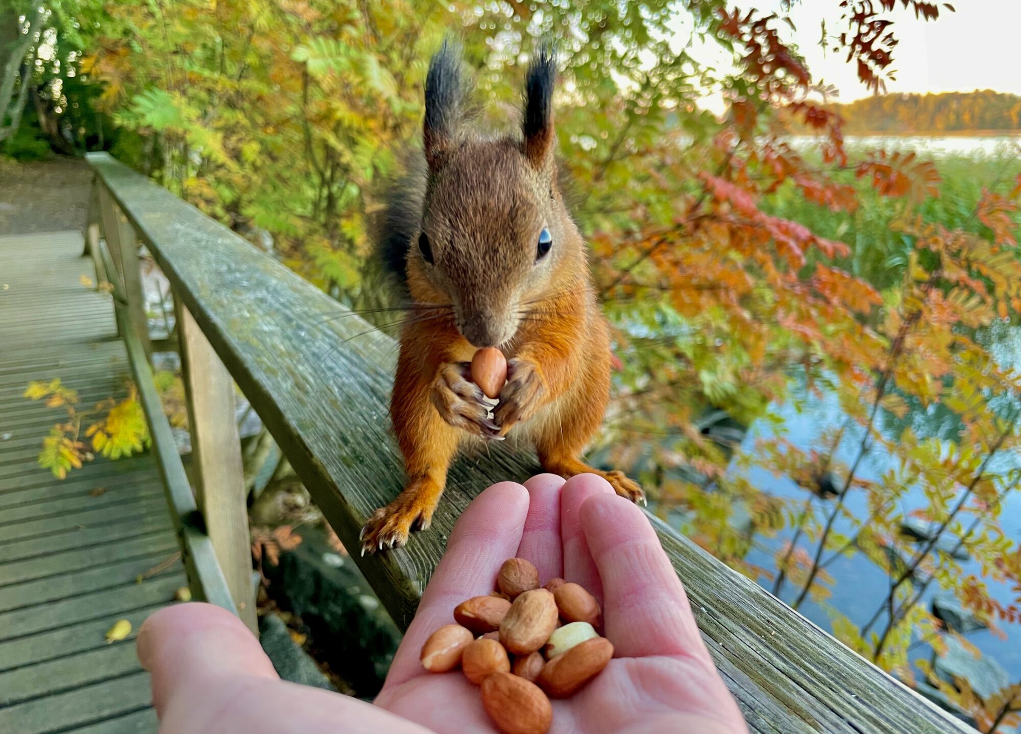 Valokuvaaja: Juhani Peltonen