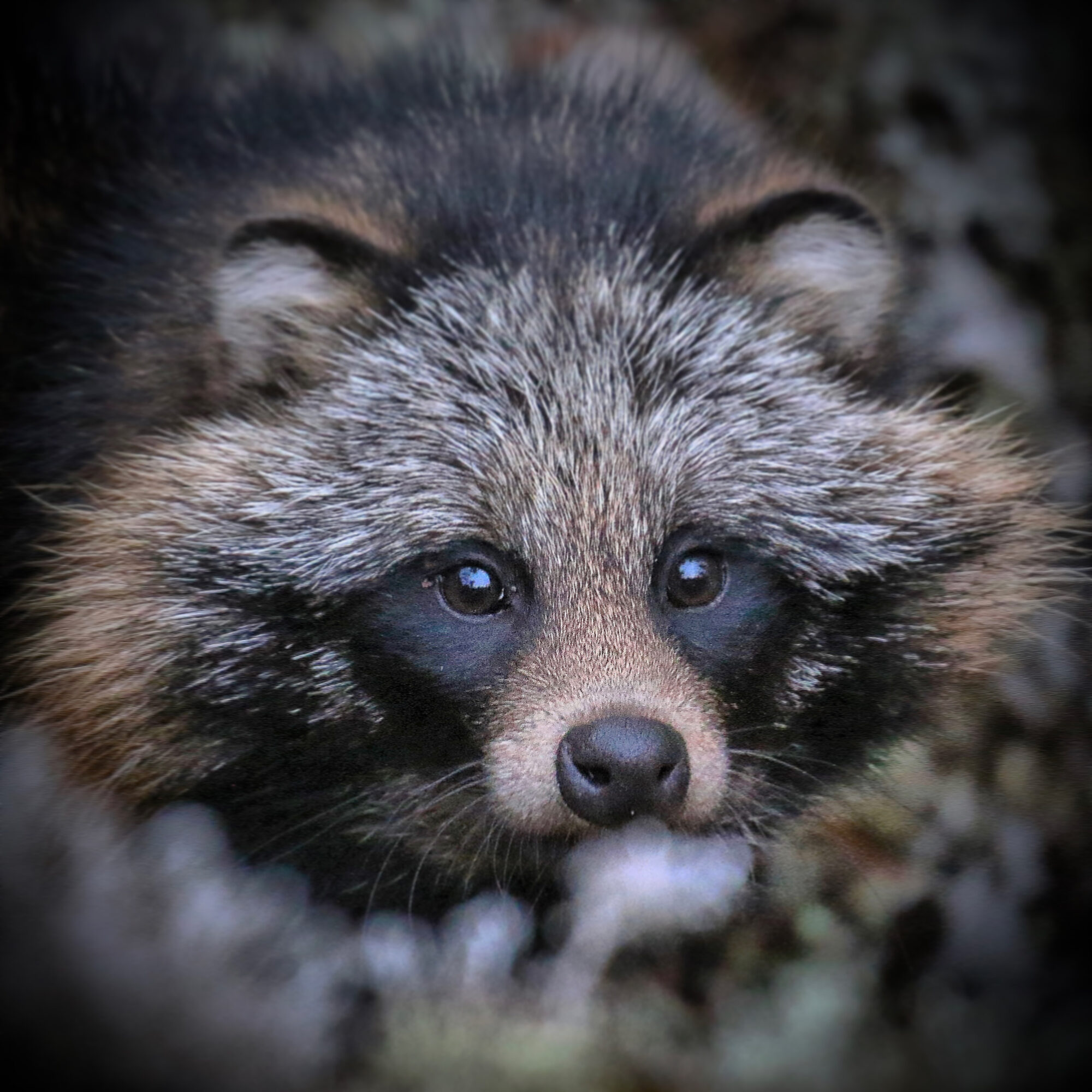 Valokuvaaja: Mikko Siikavesi