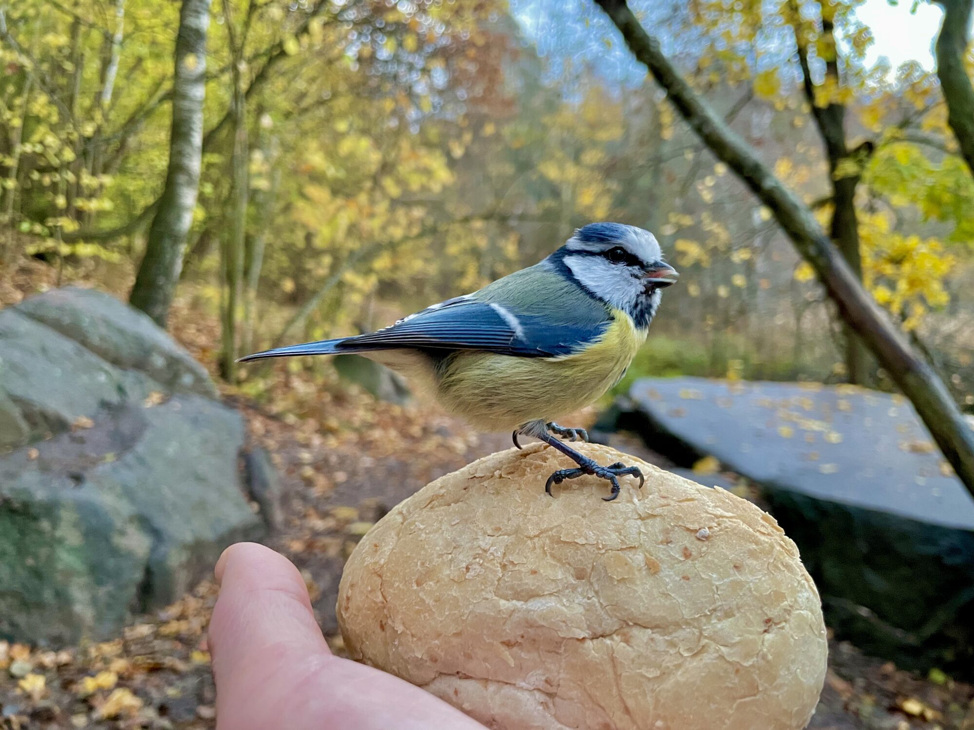 Valokuvaaja: Juhani peltonen