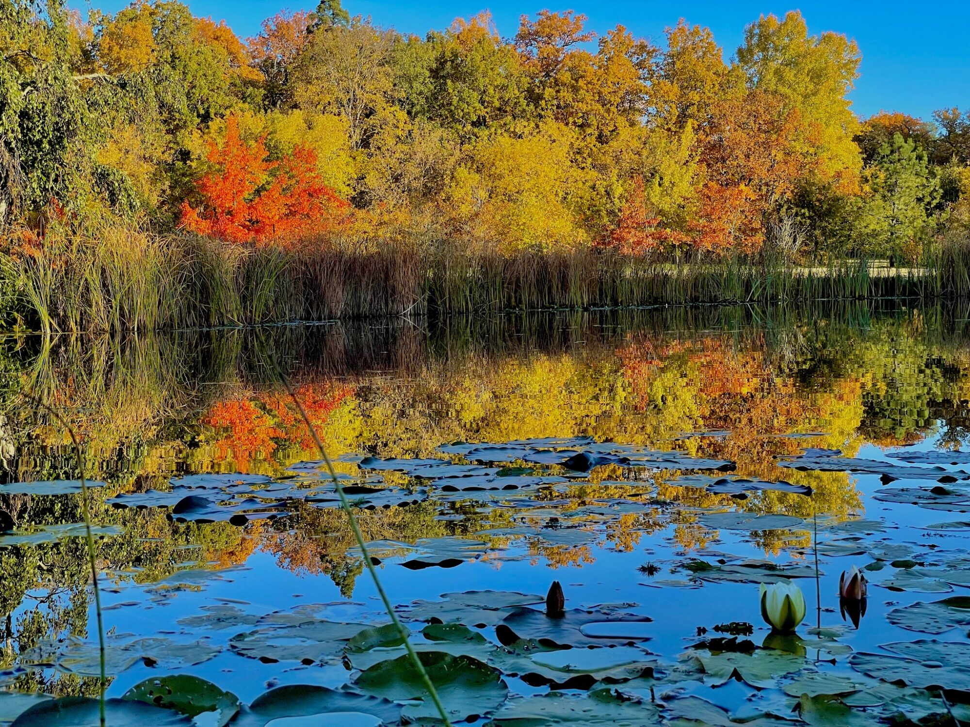 Valokuvaaja: Juhani Peltonen