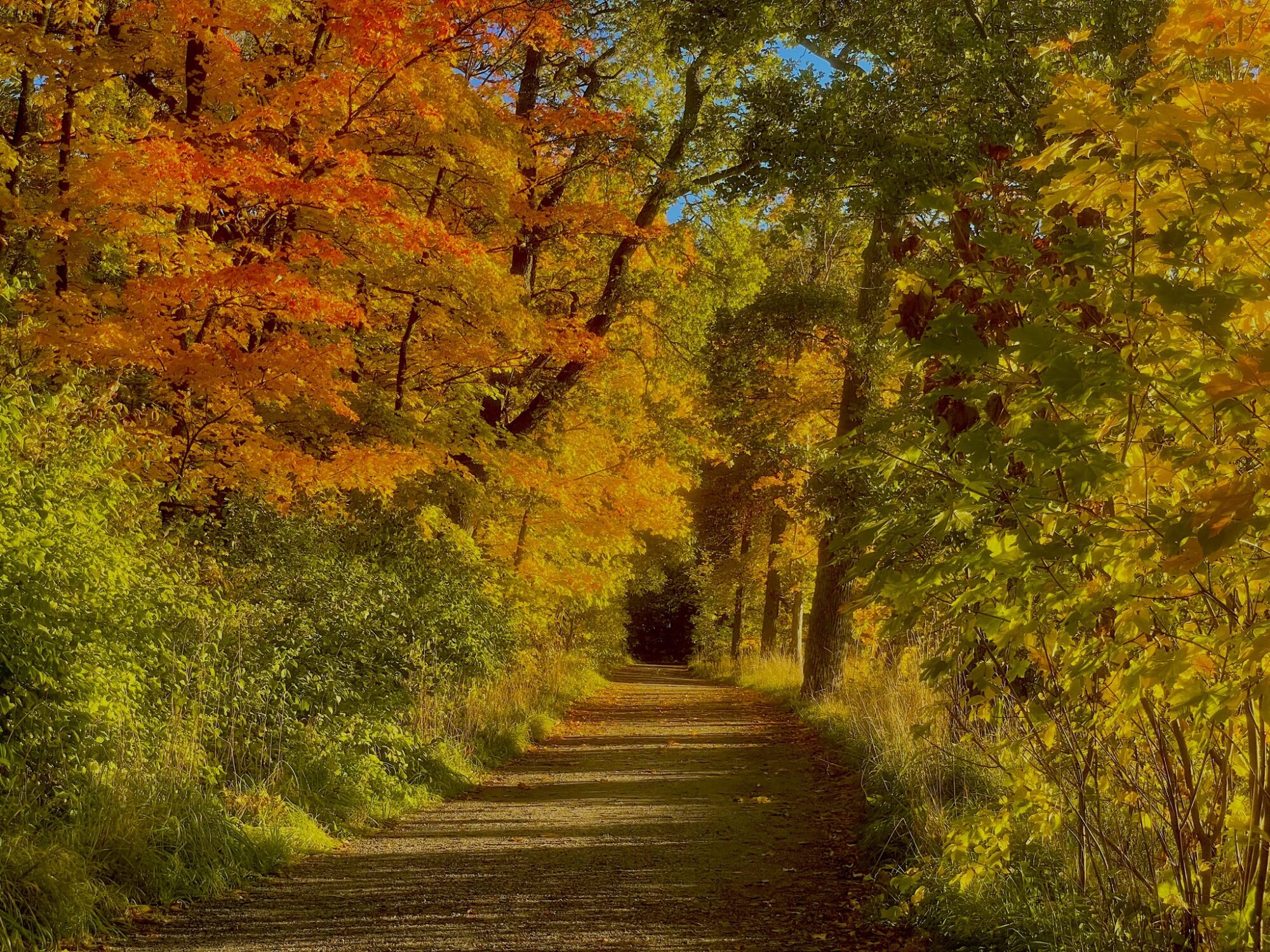 Valokuvaaja: Juhani Peltonen