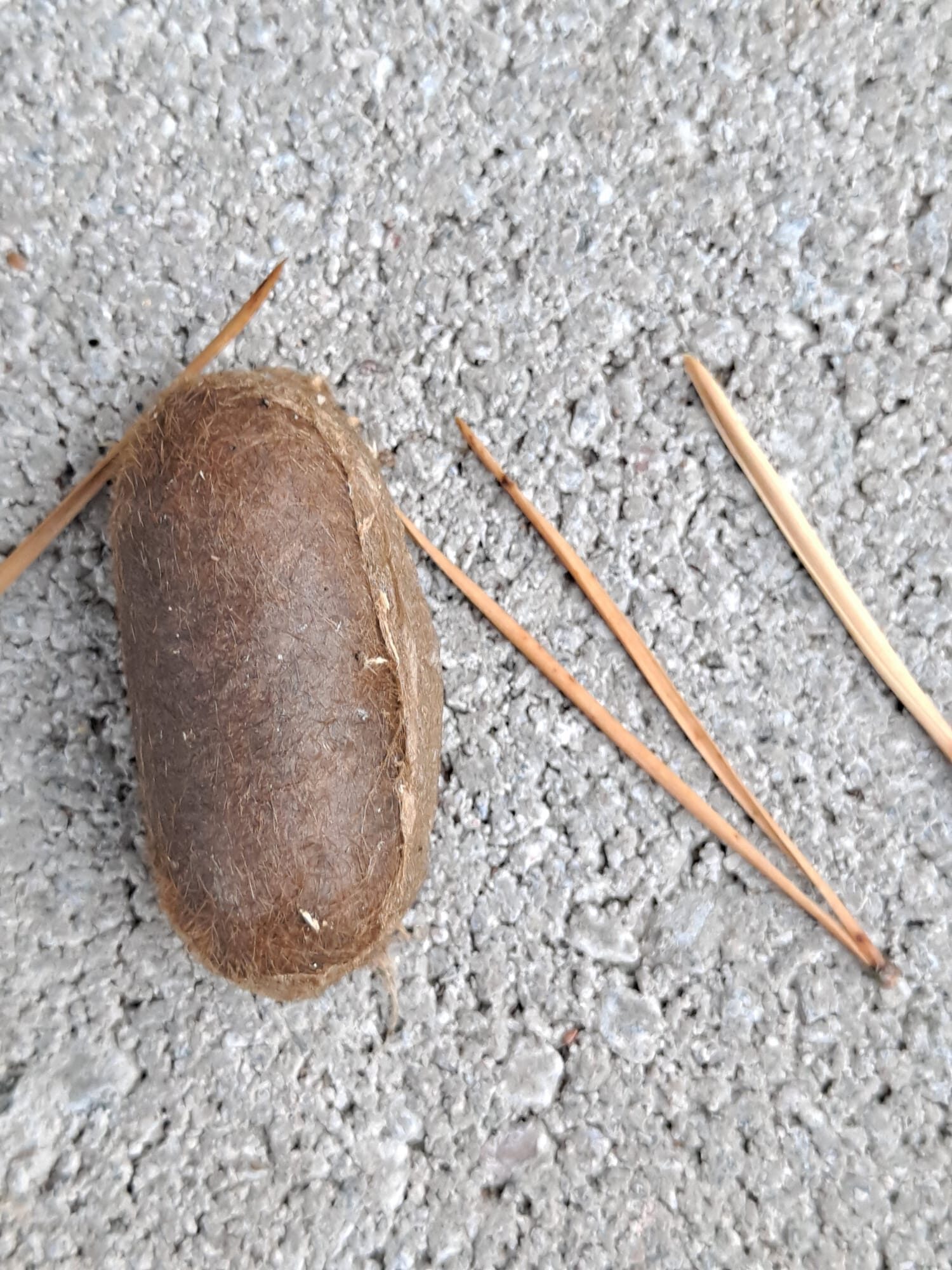 Valokuvaaja: Timo Vanhanen