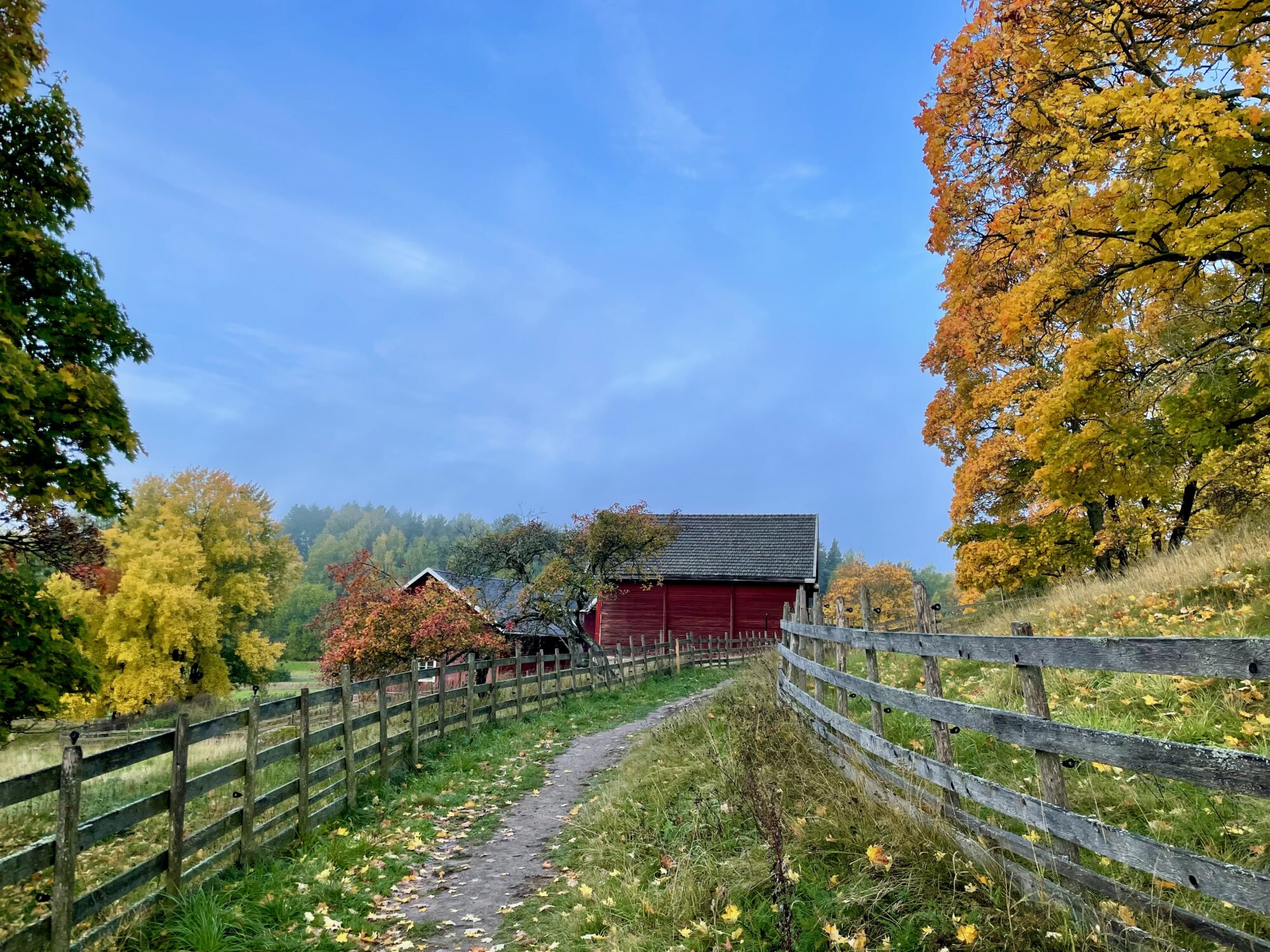 Valokuvaaja: Juhani Peltonen