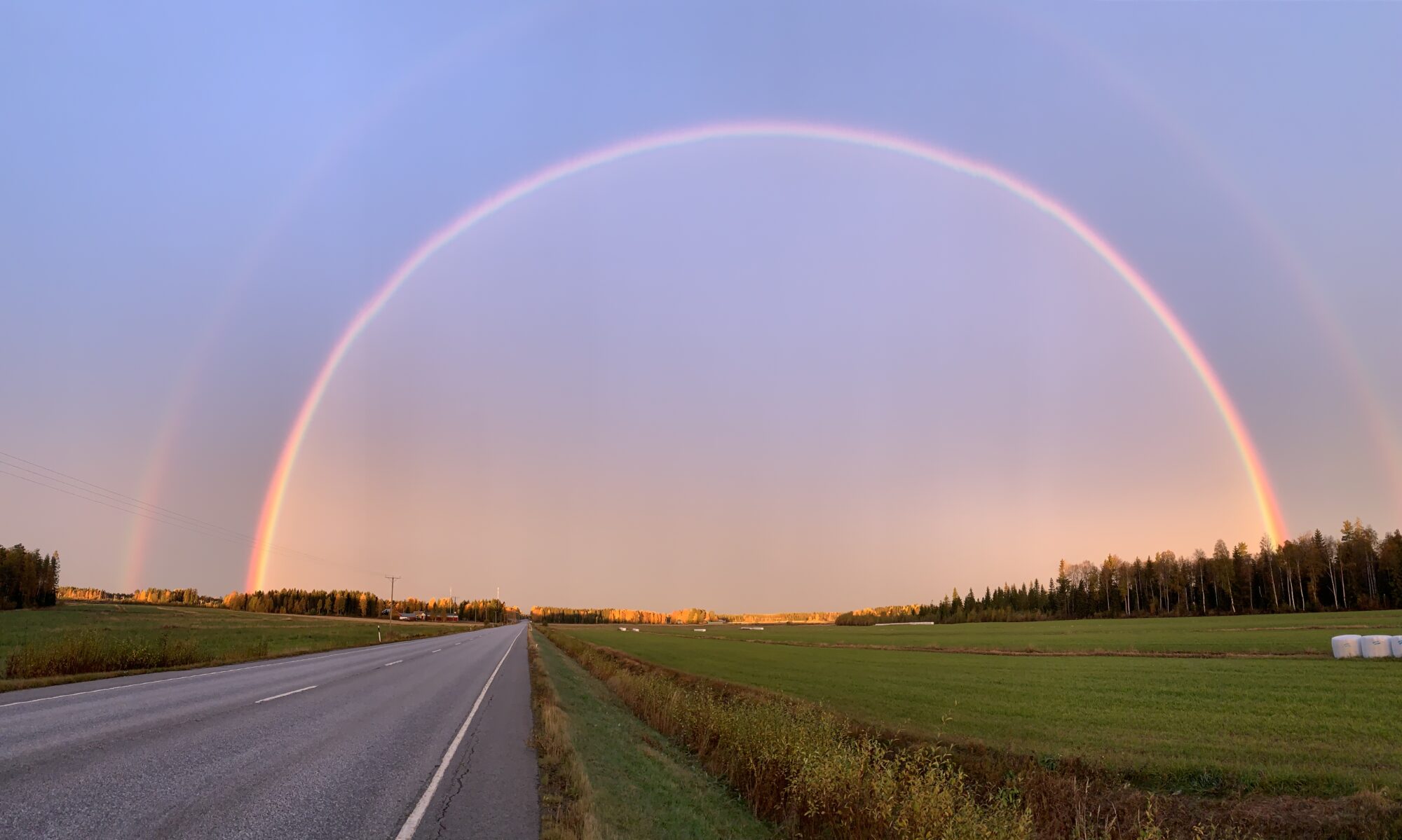 Valokuvaaja: Niina Oravainen