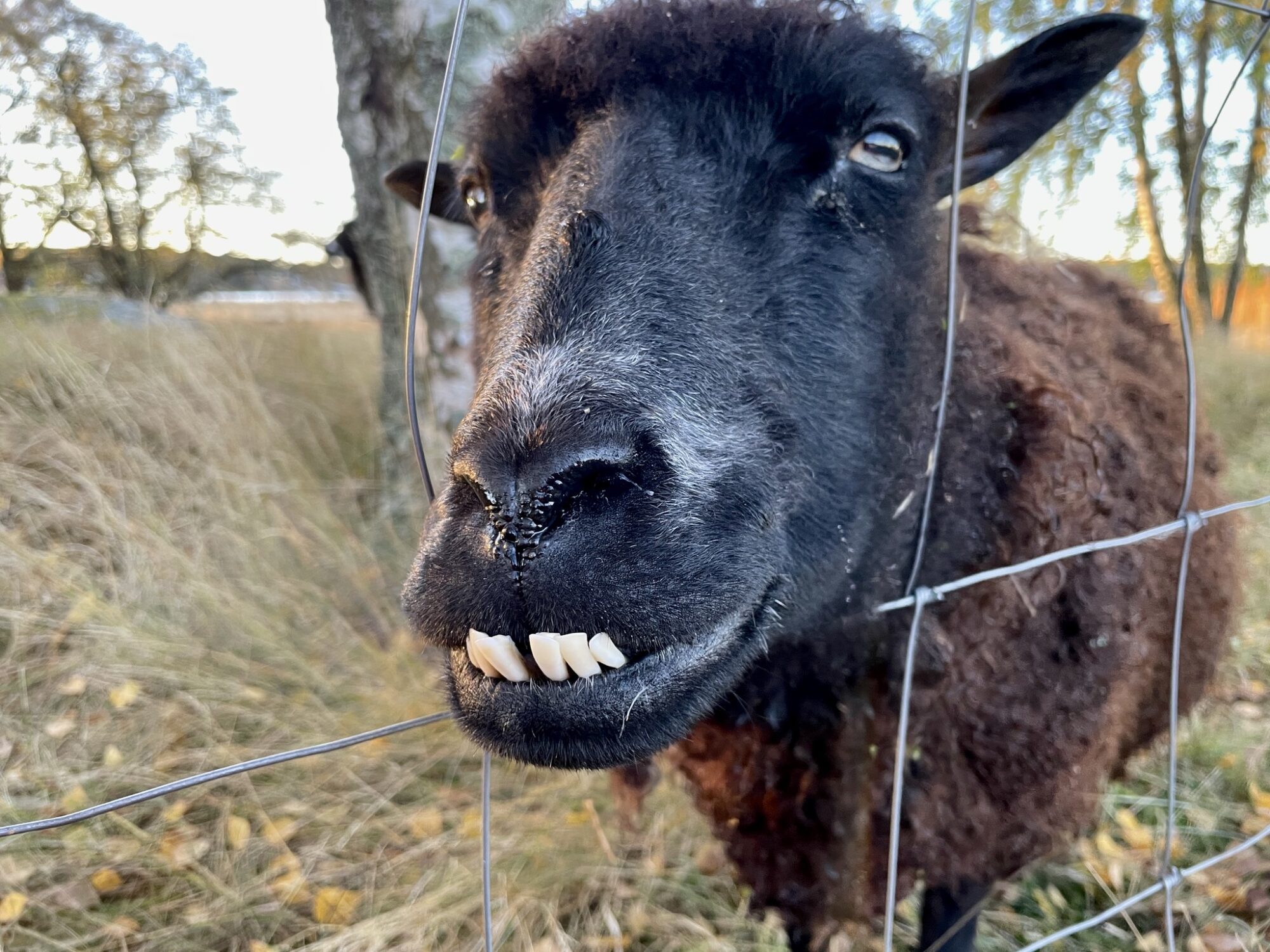 Valokuvaaja: Juhani Peltonen