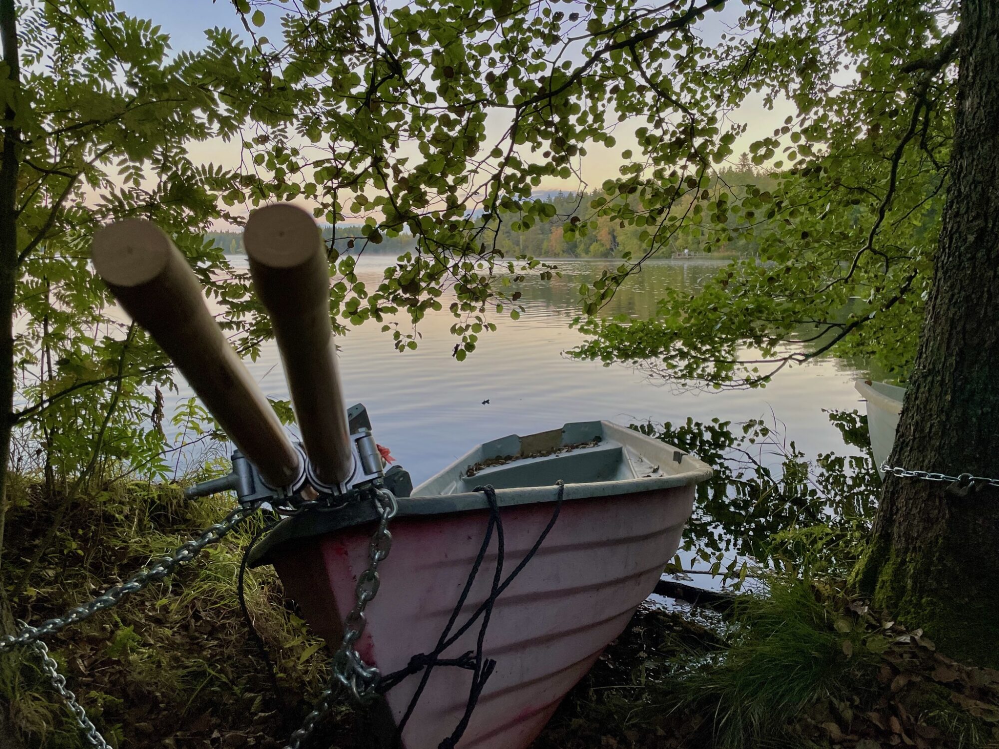 Valokuvaaja: Juhani Peltonen