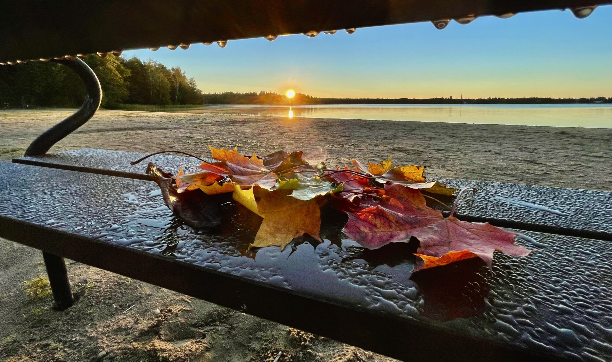 Valokuvaaja: Juhani Peltonen Valokuvaaja: Juhani Peltonen
