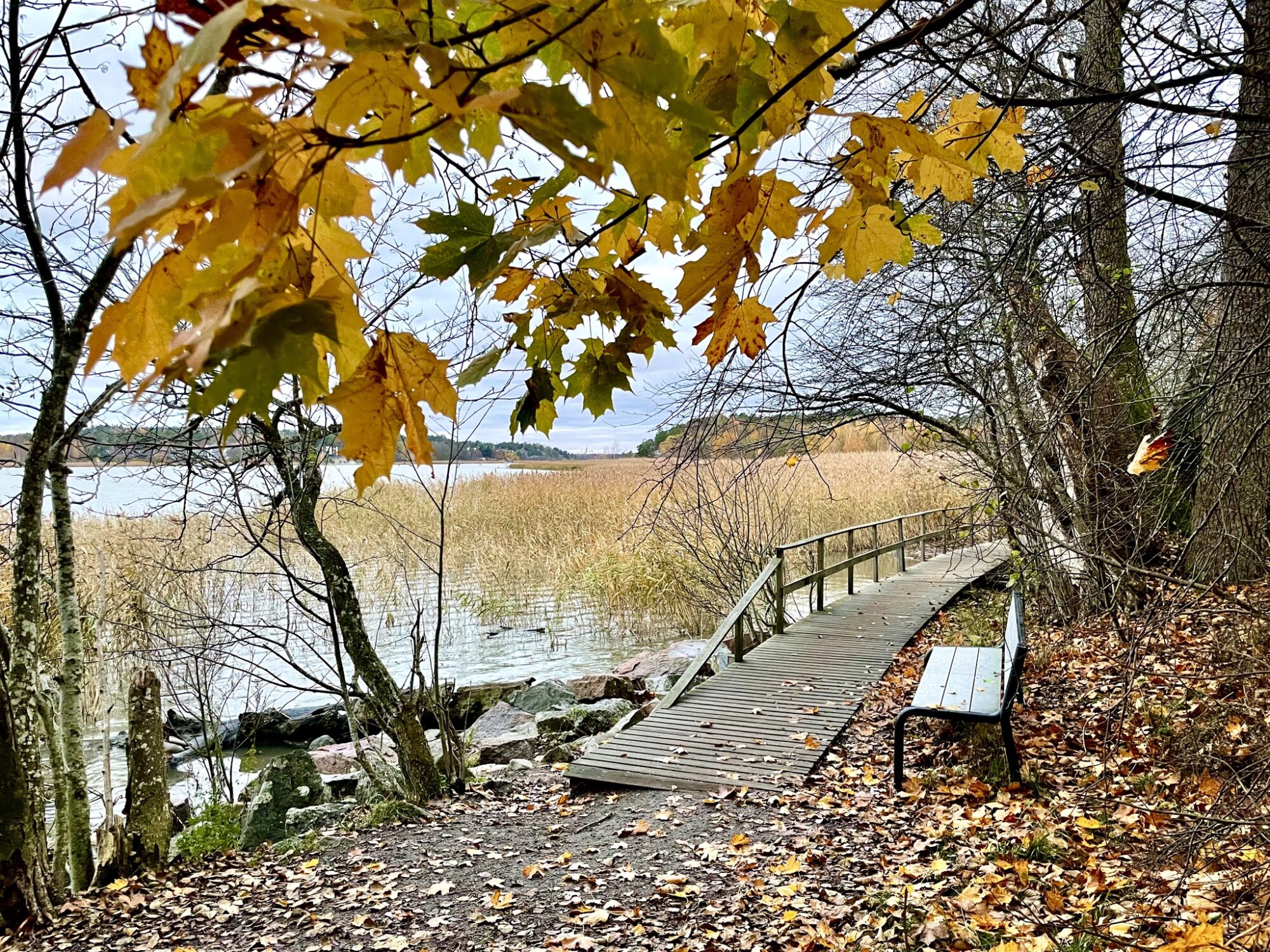 Valokuvaaja: Juhani Peltonen