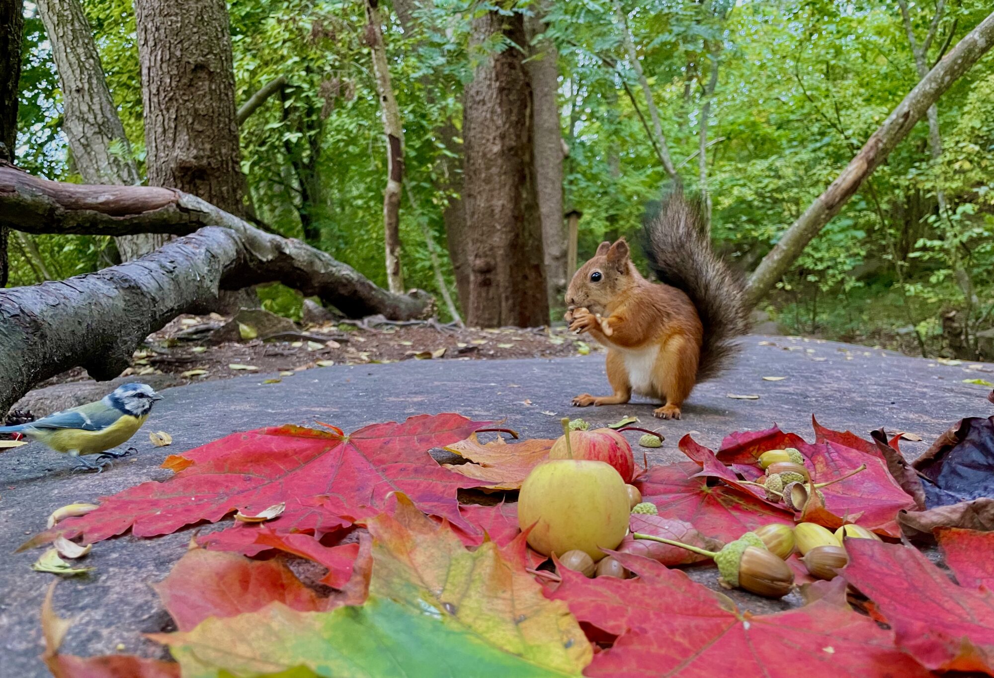Valokuvaaja: Juhani Peltonen