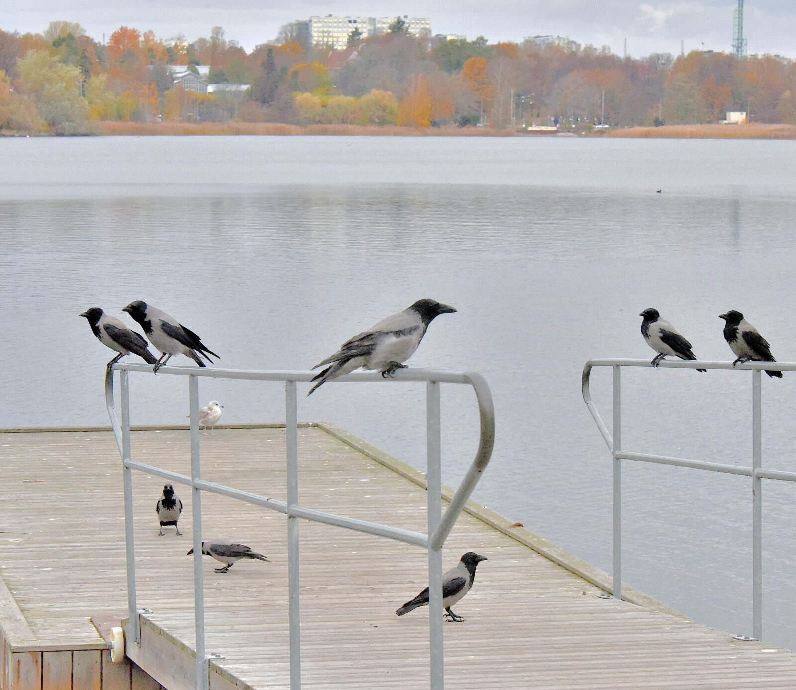 Valokuvaaja: Reijo Juurinen