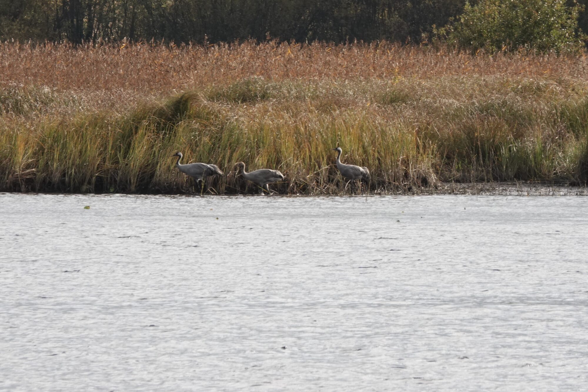 Valokuvaaja: Jenna Pitkänen Valokuvaaja: Jenna Pitkänen