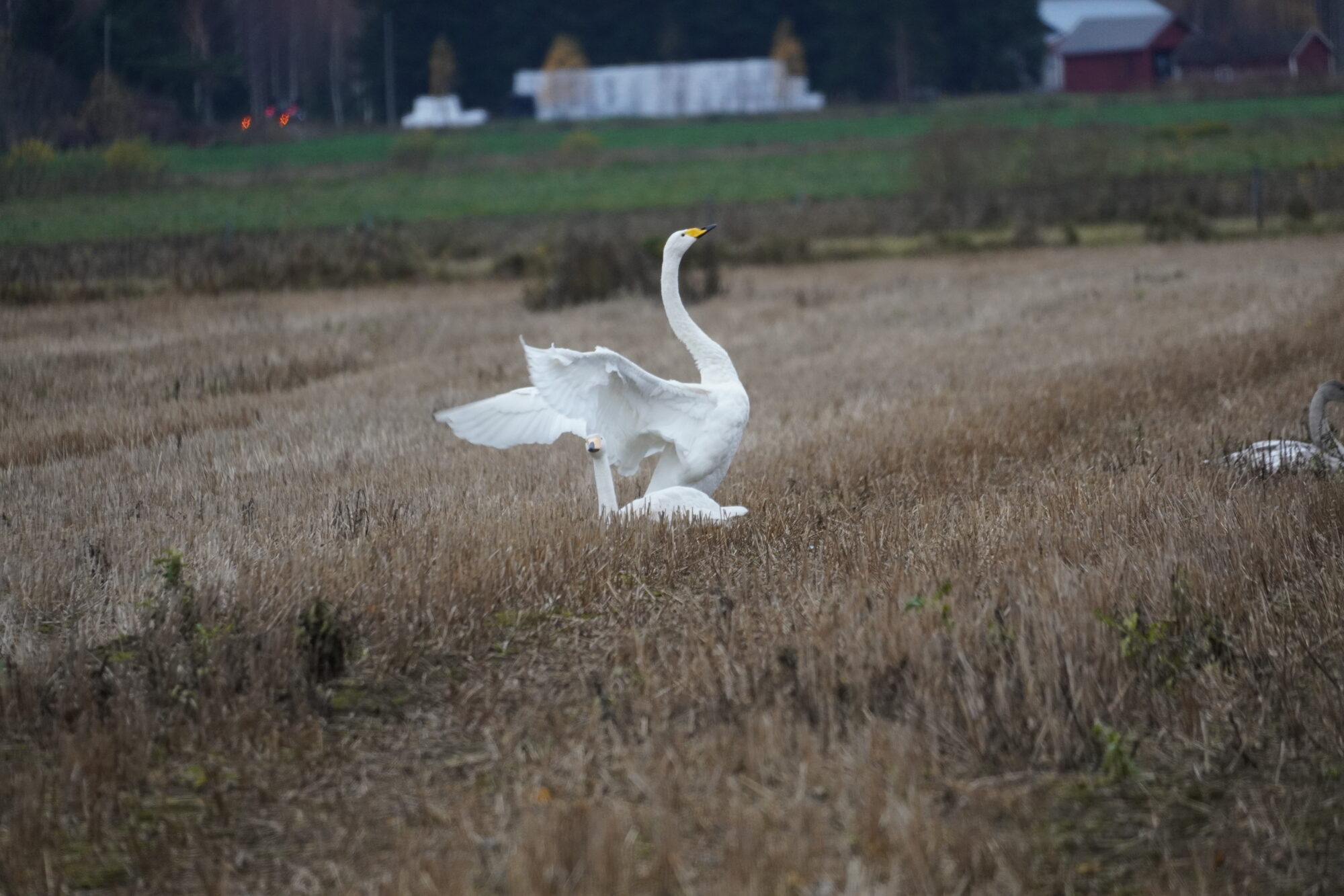 Valokuvaaja: Sari Osmala