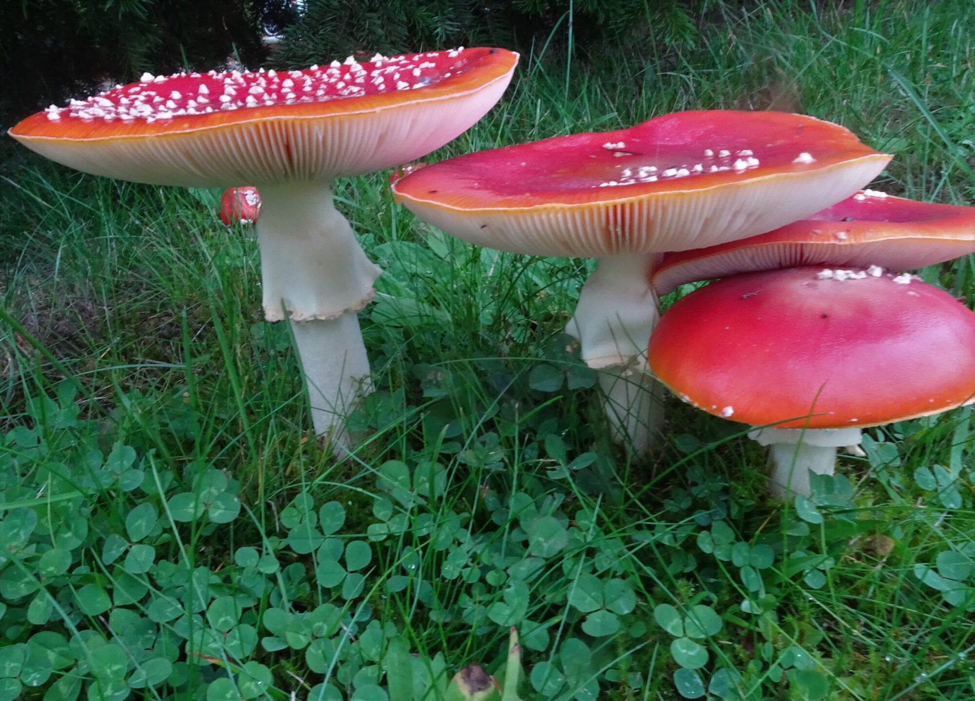 Valokuvaaja: Irja Lehtinen