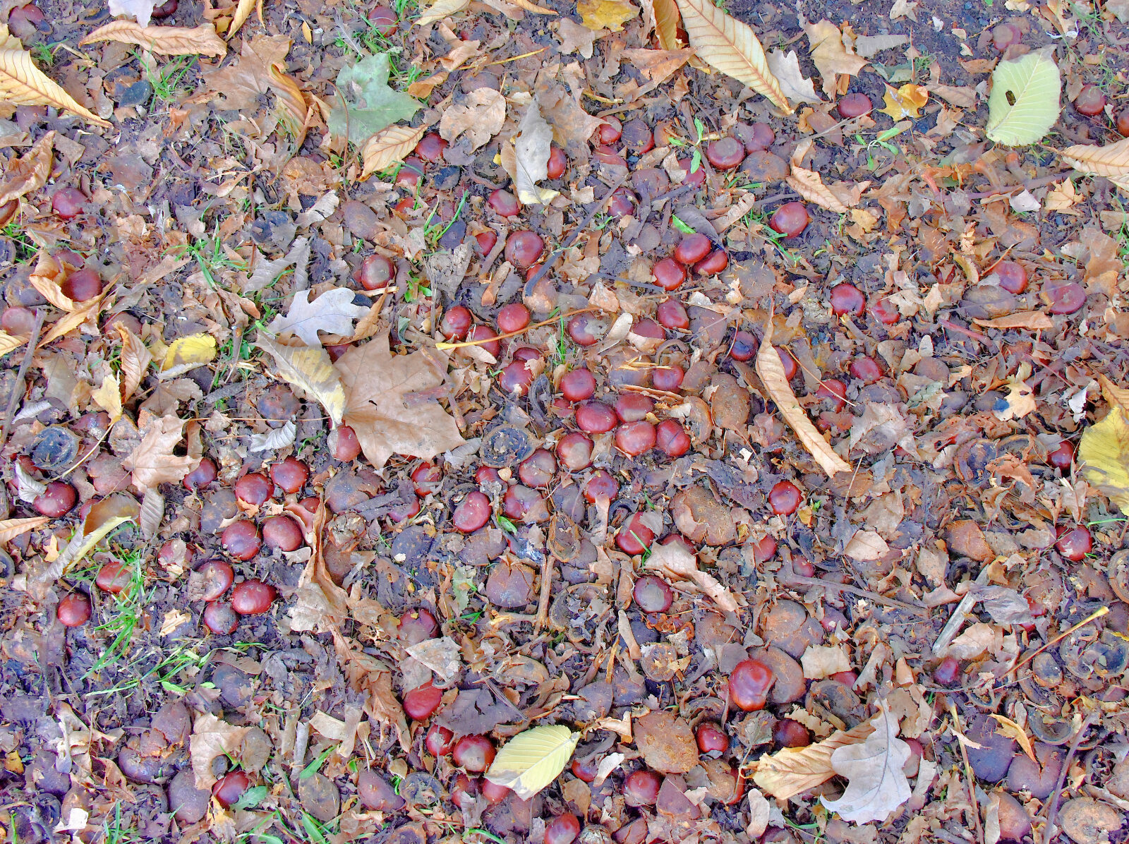 Valokuvaaja: Reijo Juurinen