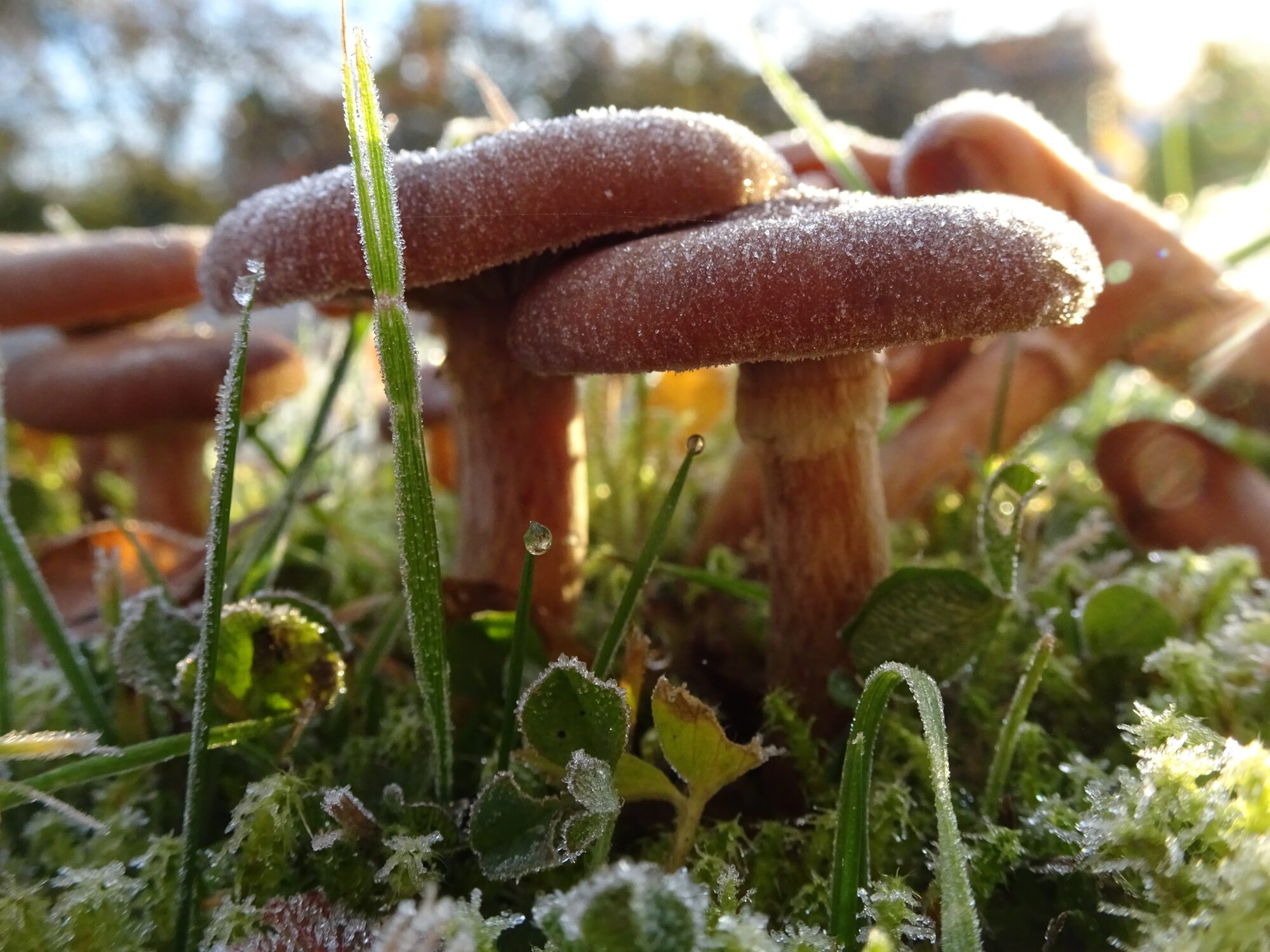 Valokuvaaja: Irja Lehtinen