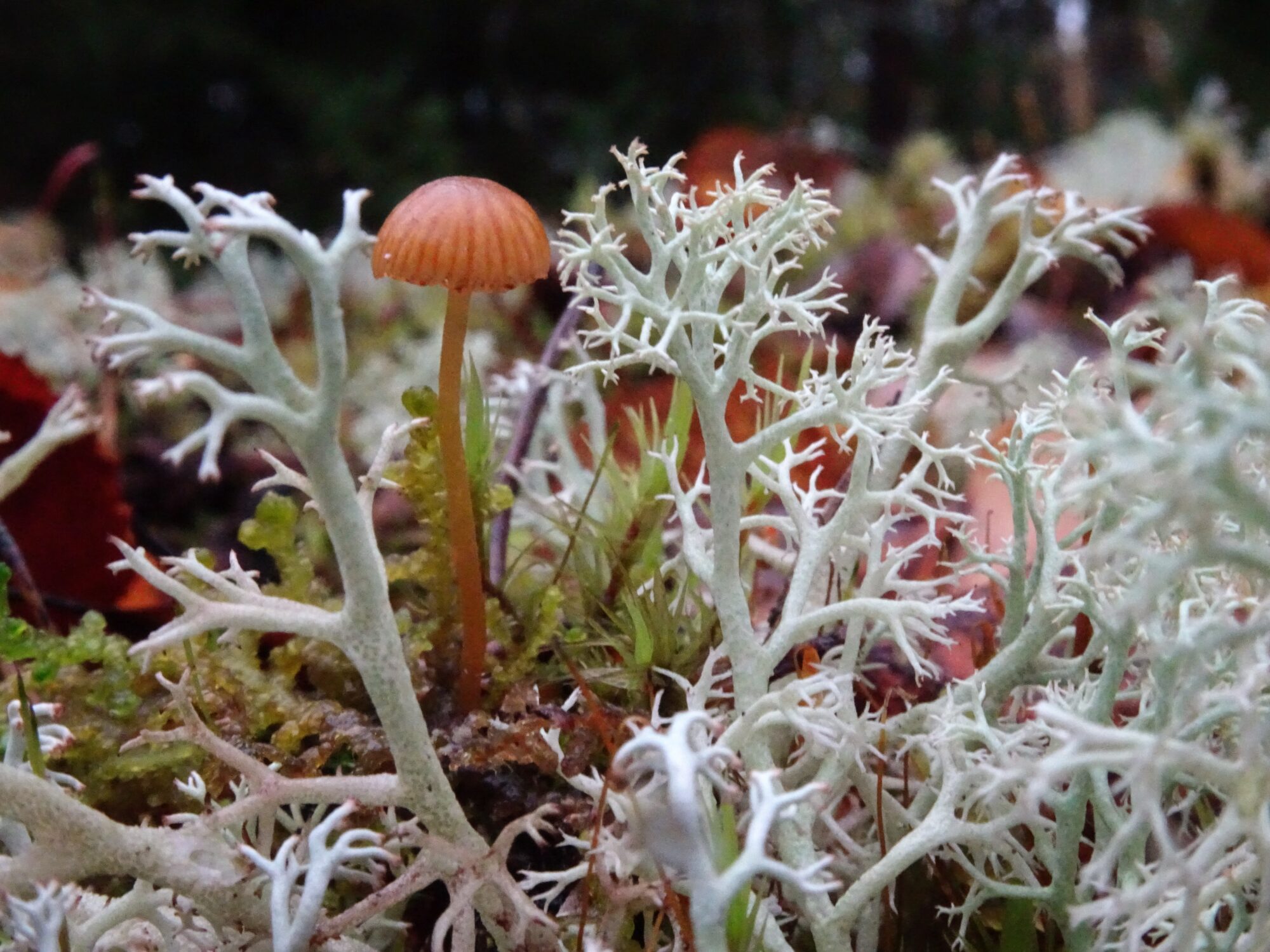 Valokuvaaja: Irja Lehtinen