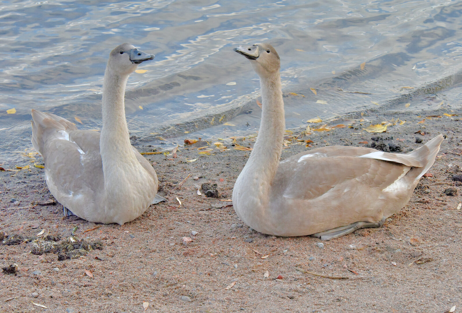 Valokuvaaja: Reijo Juurinen