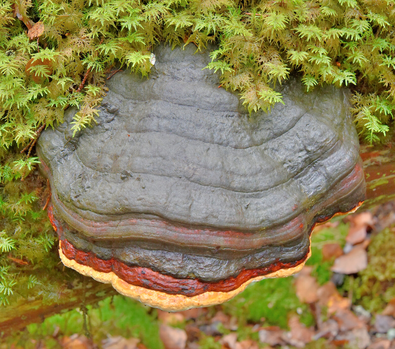 Valokuvaaja: Reijo Juurinen
