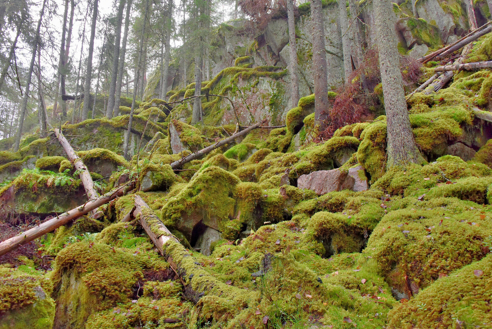 Valokuvaaja: Reijo Juurinen