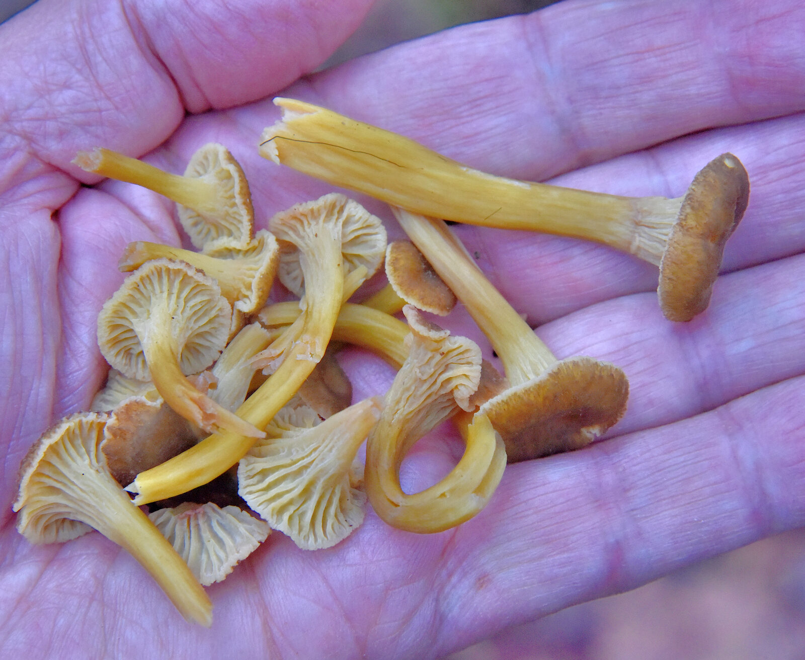 Valokuvaaja: Reijo Juurinen Valokuvaaja: Reijo Juurinen